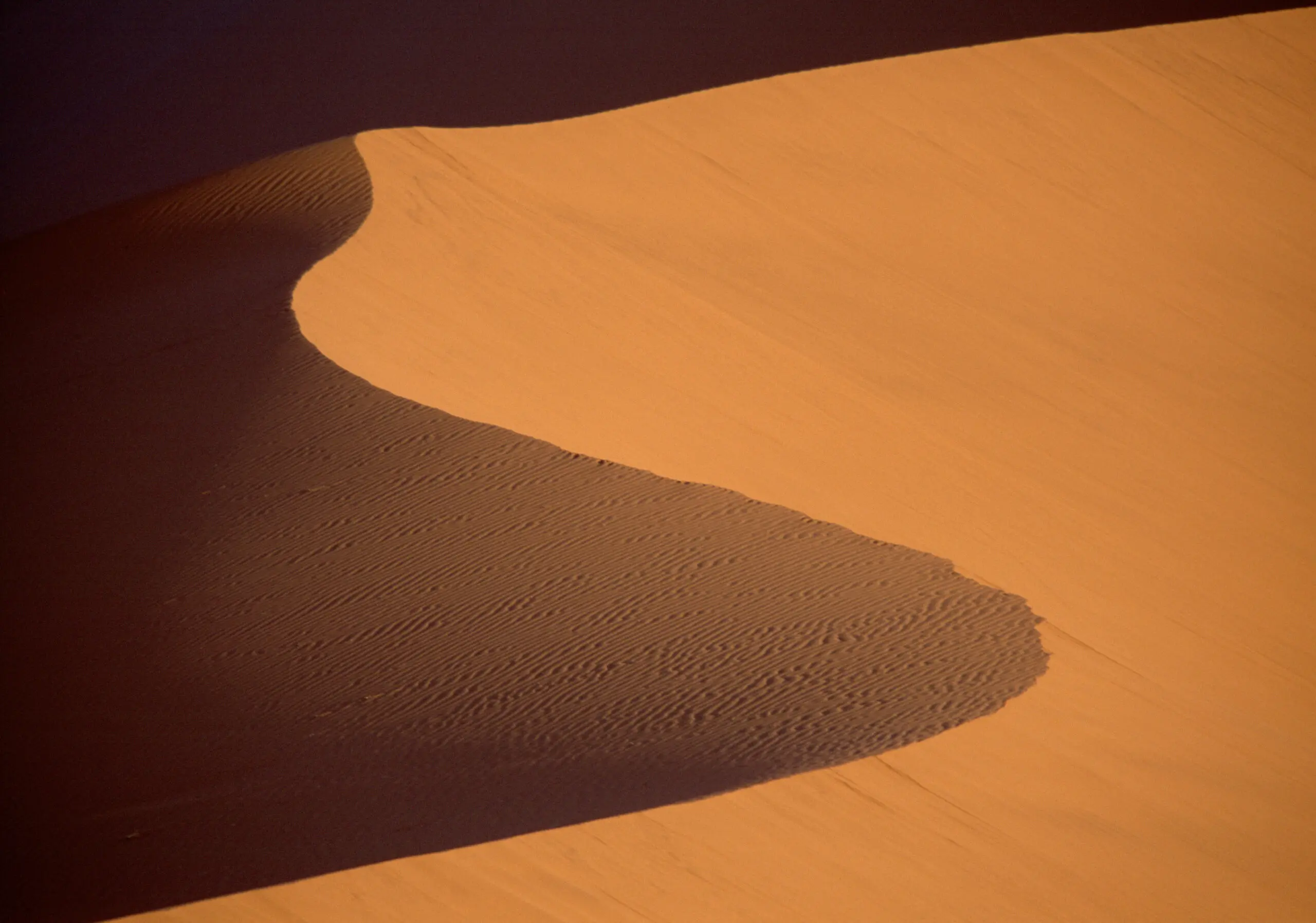 Wandbild (271) Dune 45 präsentiert: Details und Strukturen,Abstrakt,Landschaften,Wüste,Sonstige Naturdetails