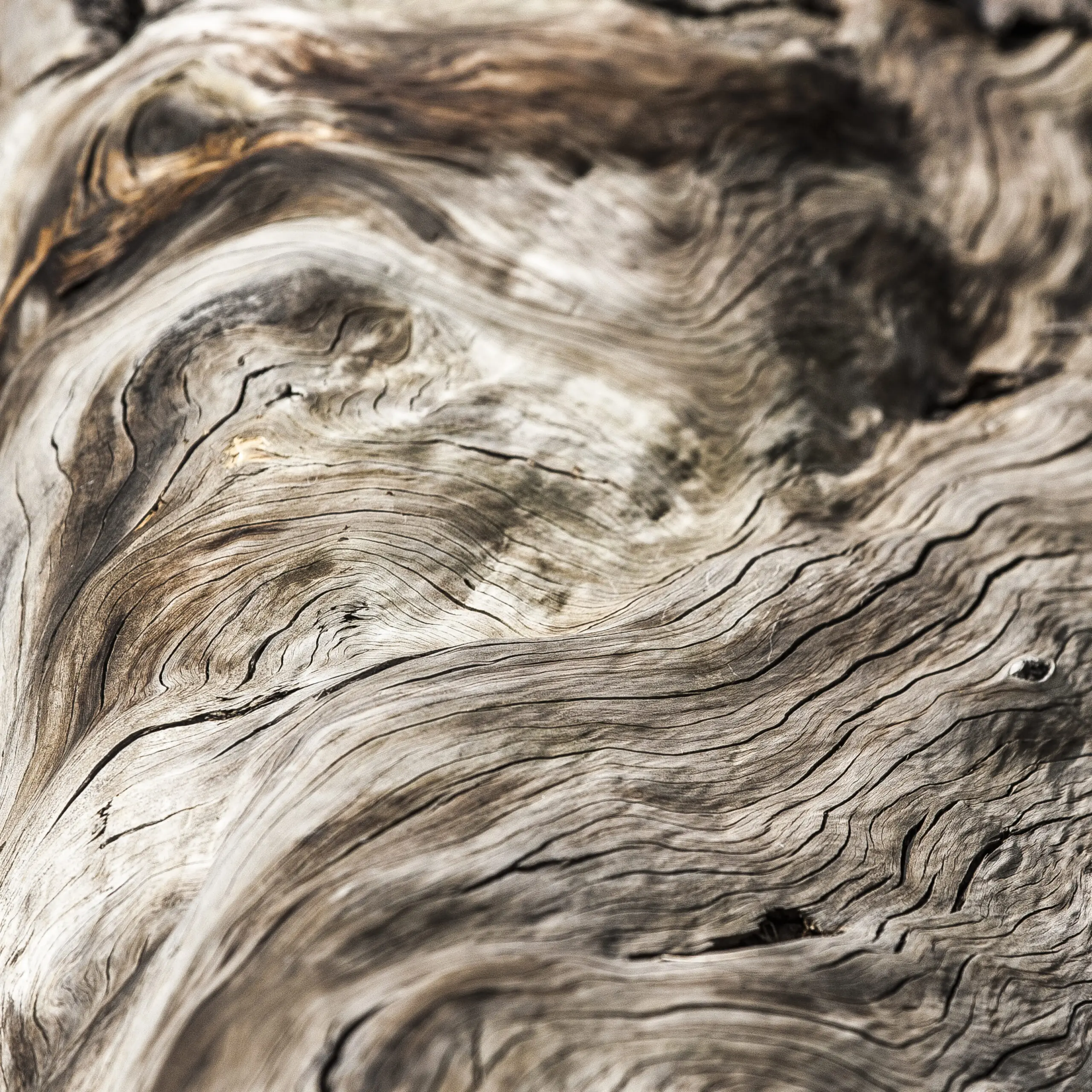 Wandbild (370) Serengeti Wood präsentiert: Technik,Details und Strukturen,Zen & Wellness,Abstrakt,Natur,Makro