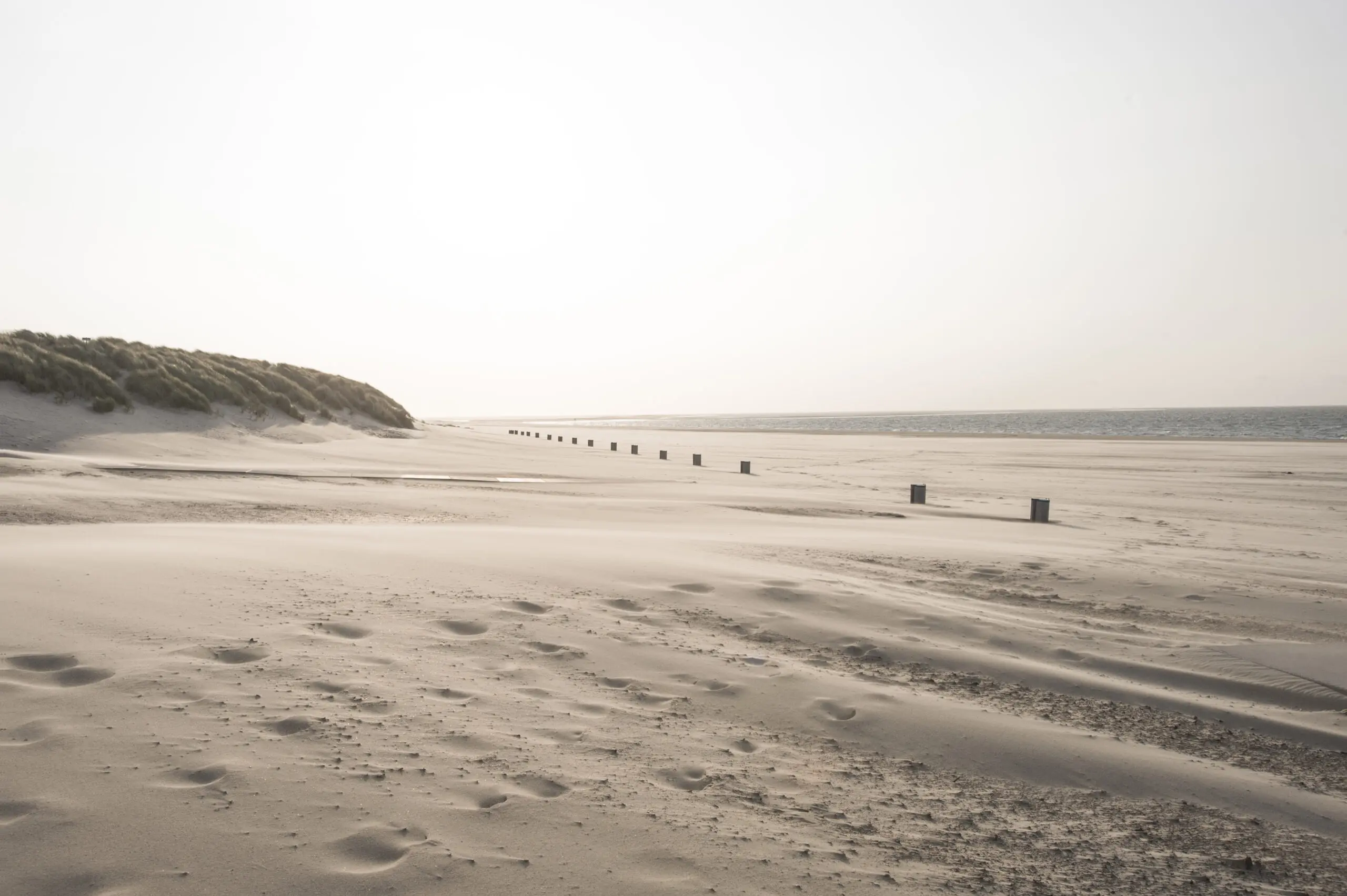 Wandbild (407) Zeeland Beach präsentiert: Landschaften,Strände,Gewässer