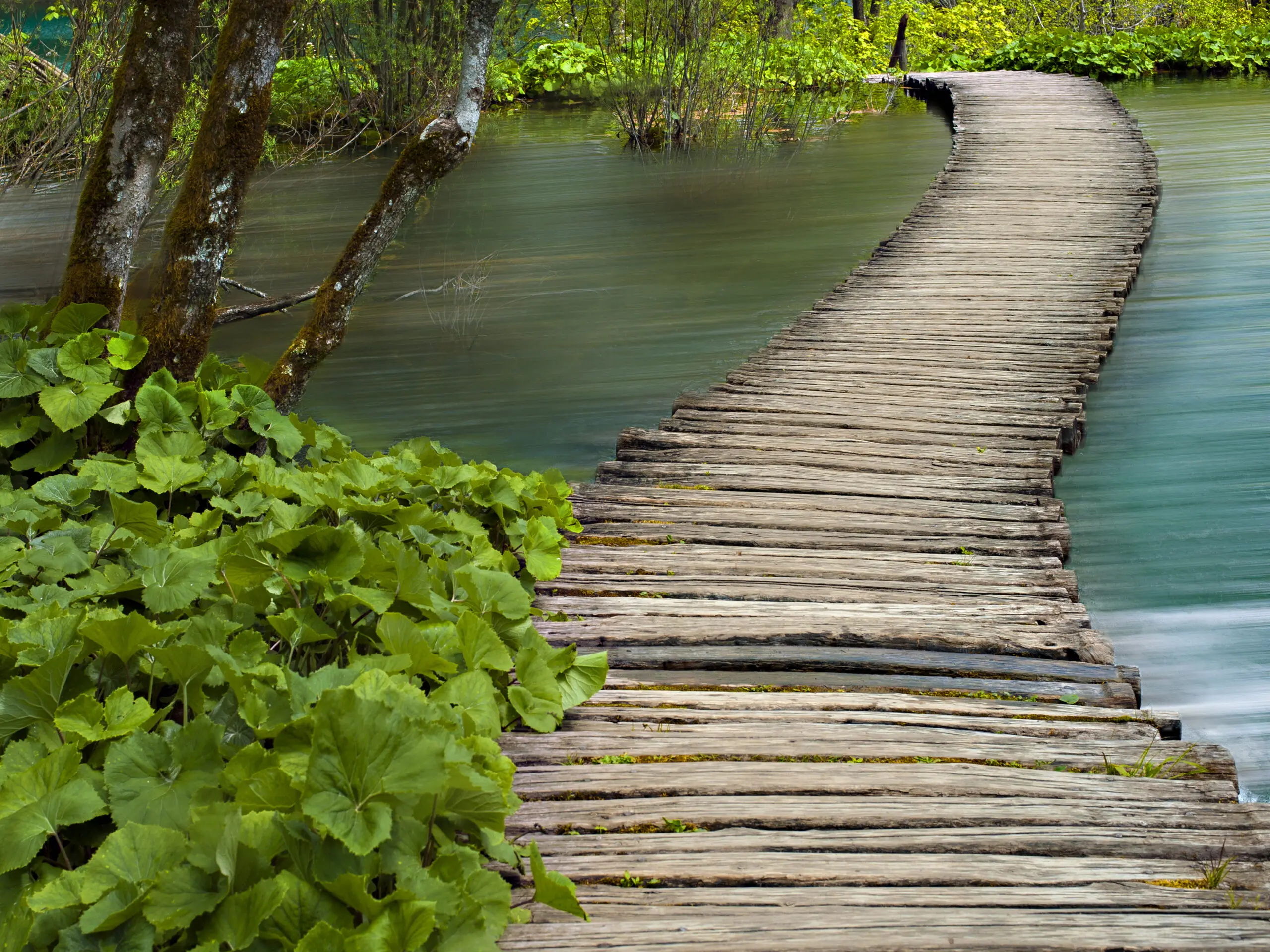 Wandbild (398) Waterways präsentiert: Wasser,Landschaften,Stege,Gewässer,Stege