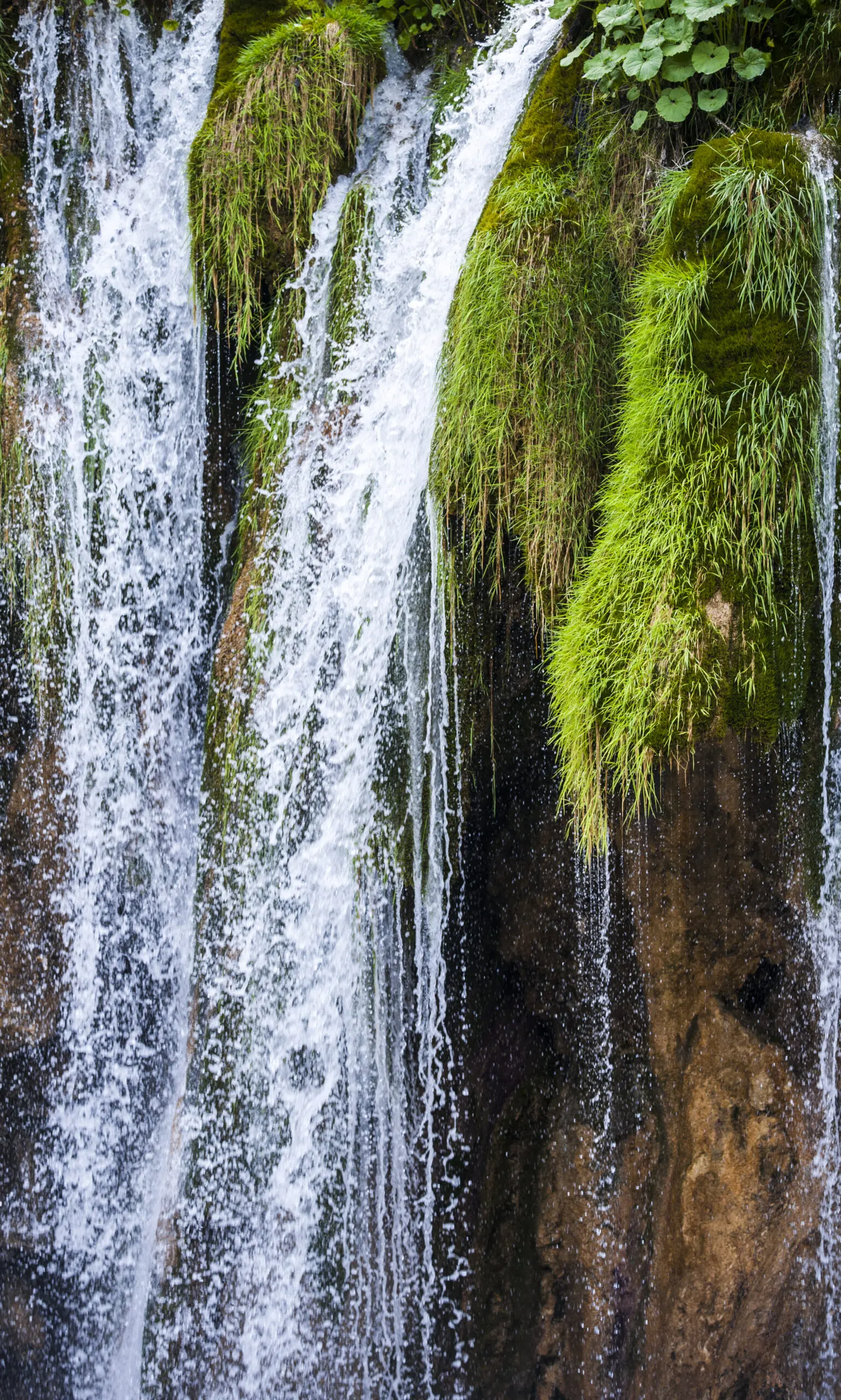 Wandbild (399) Flow II präsentiert: Wasser,Landschaften,Gewässer,Wasserfälle