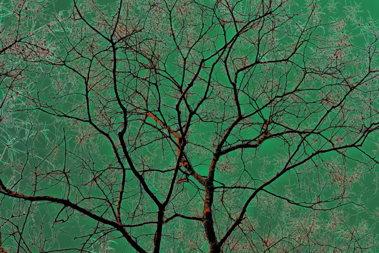 branches II