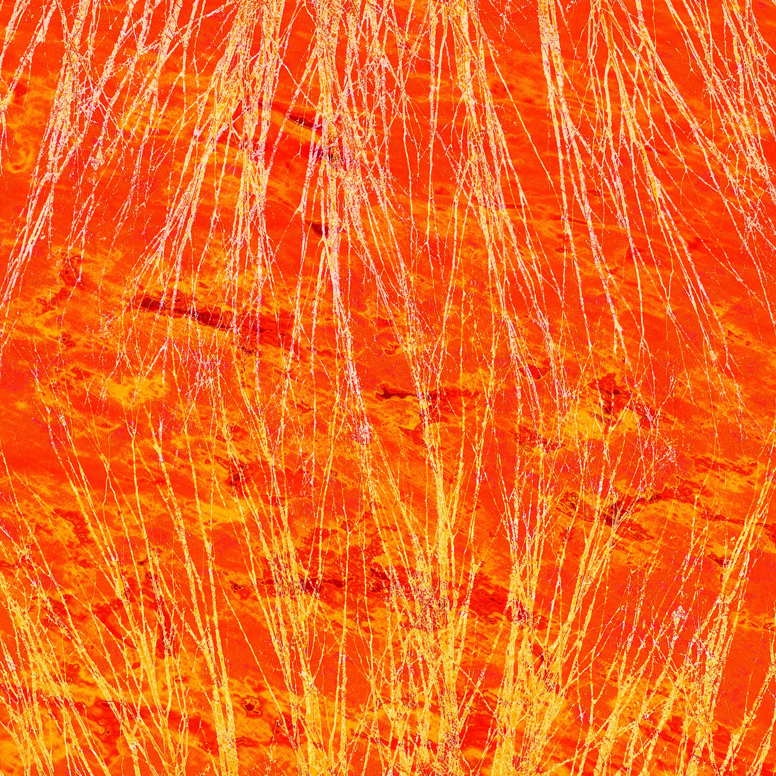 Wandbild (451) orange präsentiert: Abstrakt,Kreatives