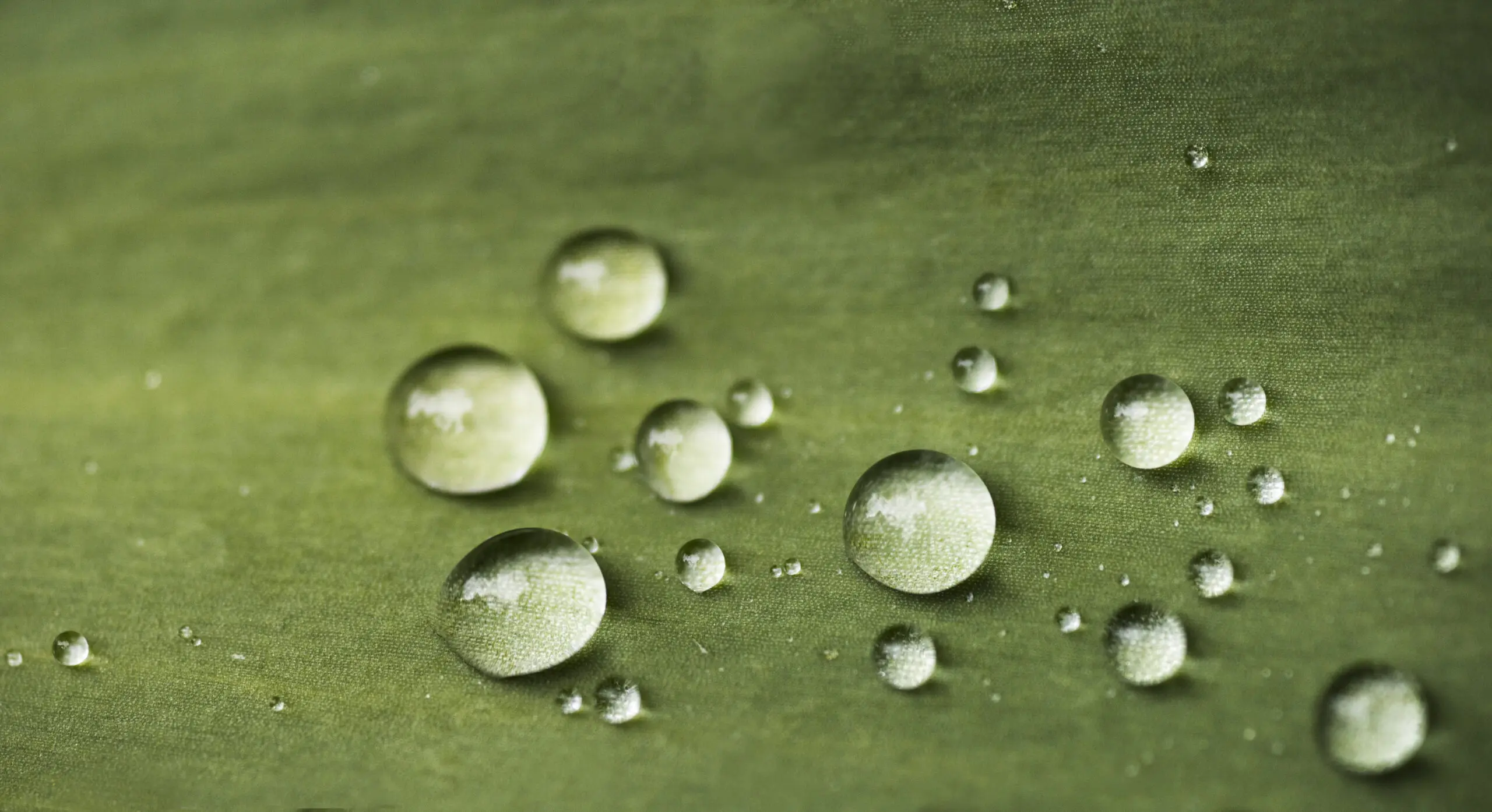 Wandbild (538) Teardrops2 präsentiert: Wasser,Natur,Blätter,Wassertropfen