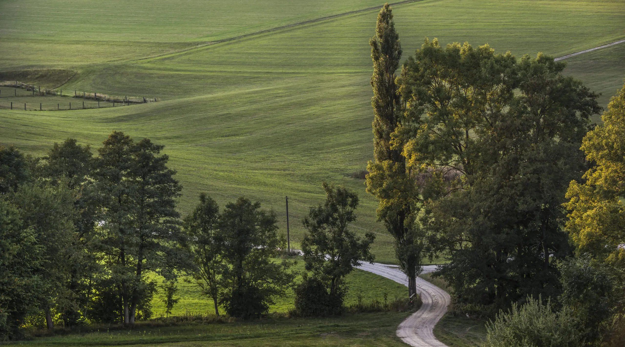 Wandbild (1233) Weg ins Grüne präsentiert: Natur,Landschaften,Sonstige Pflanzen,Parkanlagen und Gärten