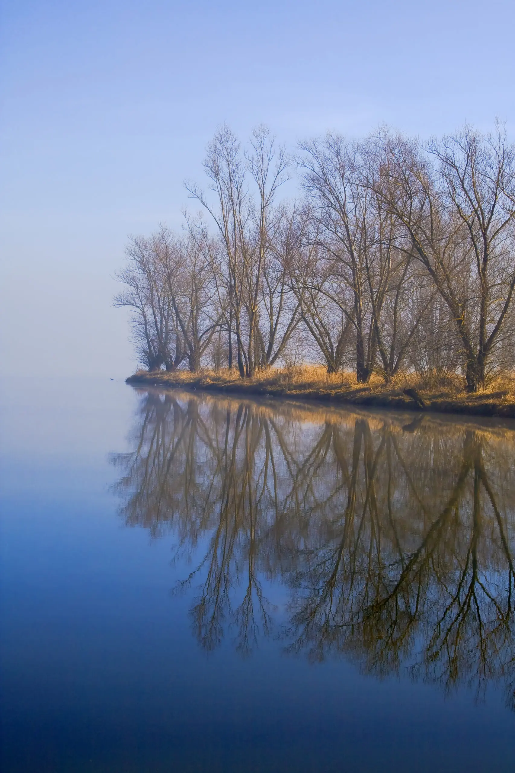 Wandbild (1342) Motive – 1342 präsentiert: Wasser,Landschaften,Winter,Gewässer,Wasserspiegelungen