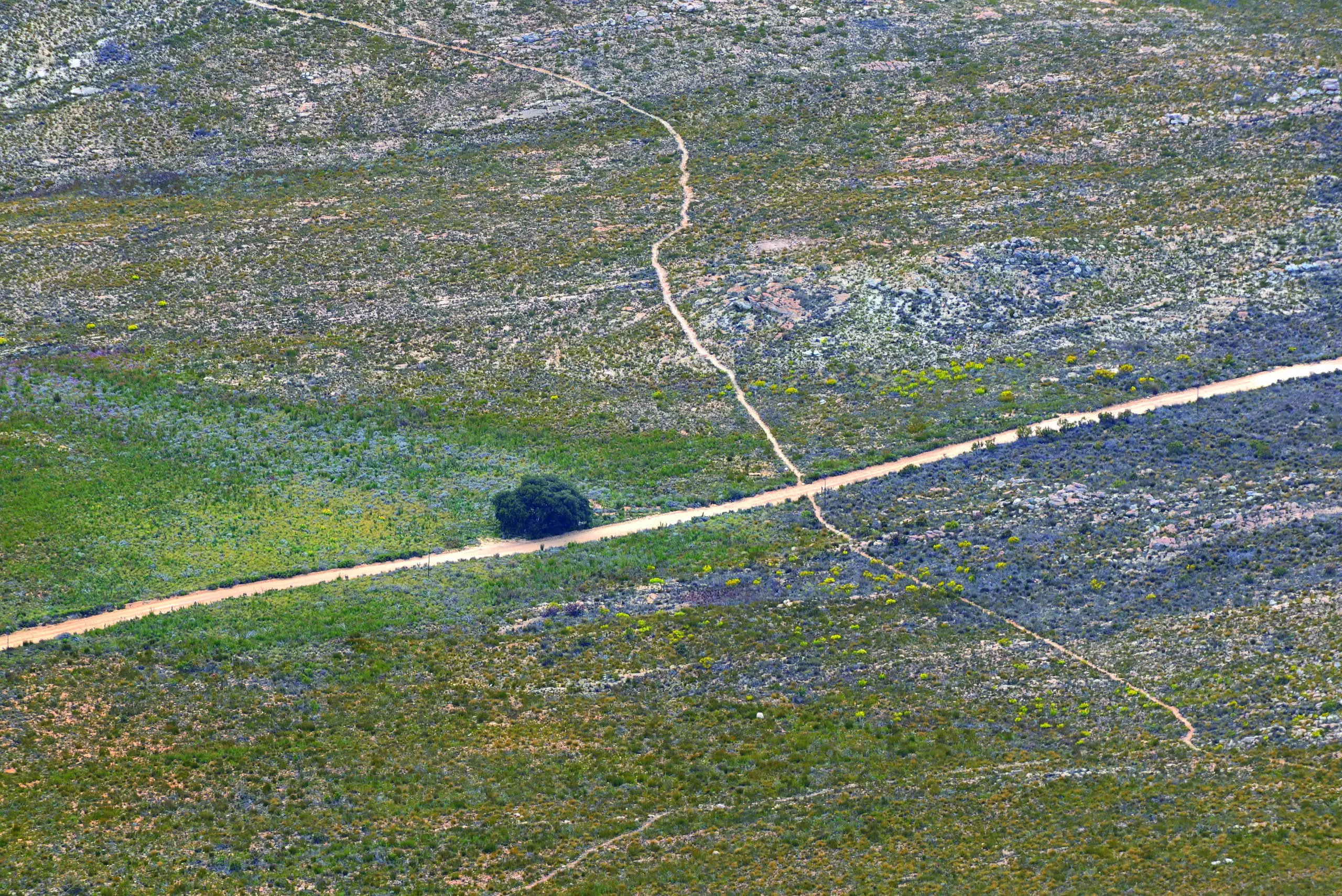 Wandbild (1913) Nowhere Road präsentiert: Landschaften,Afrika