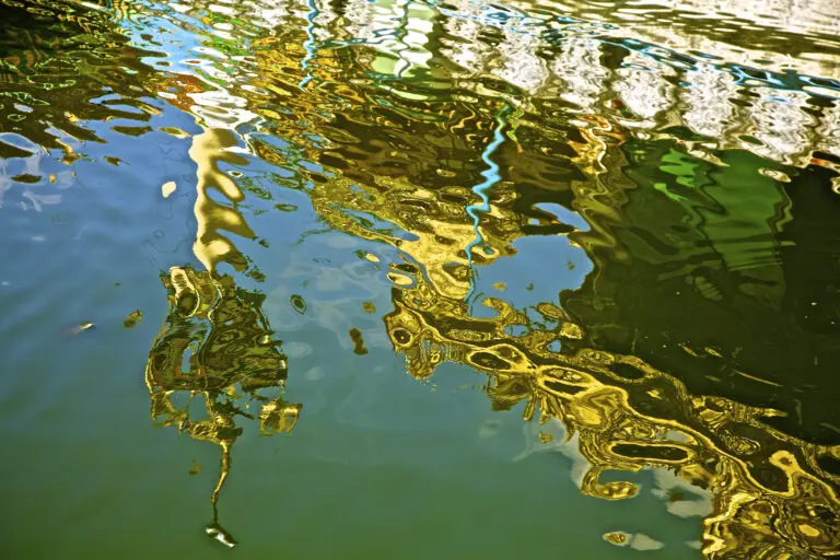 Reflection of the Water 2