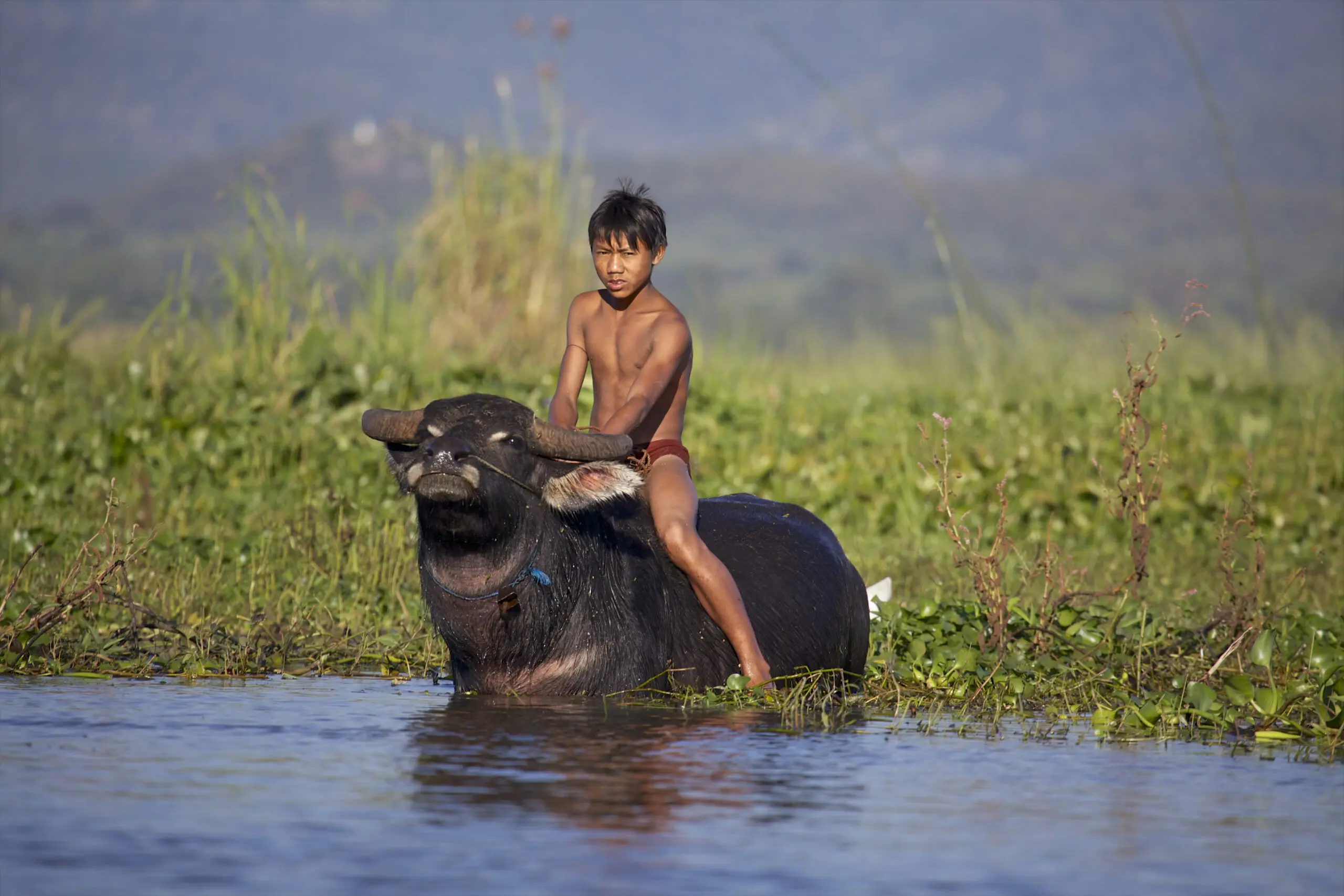 Wandbild (2523) Riding a Bull präsentiert: 