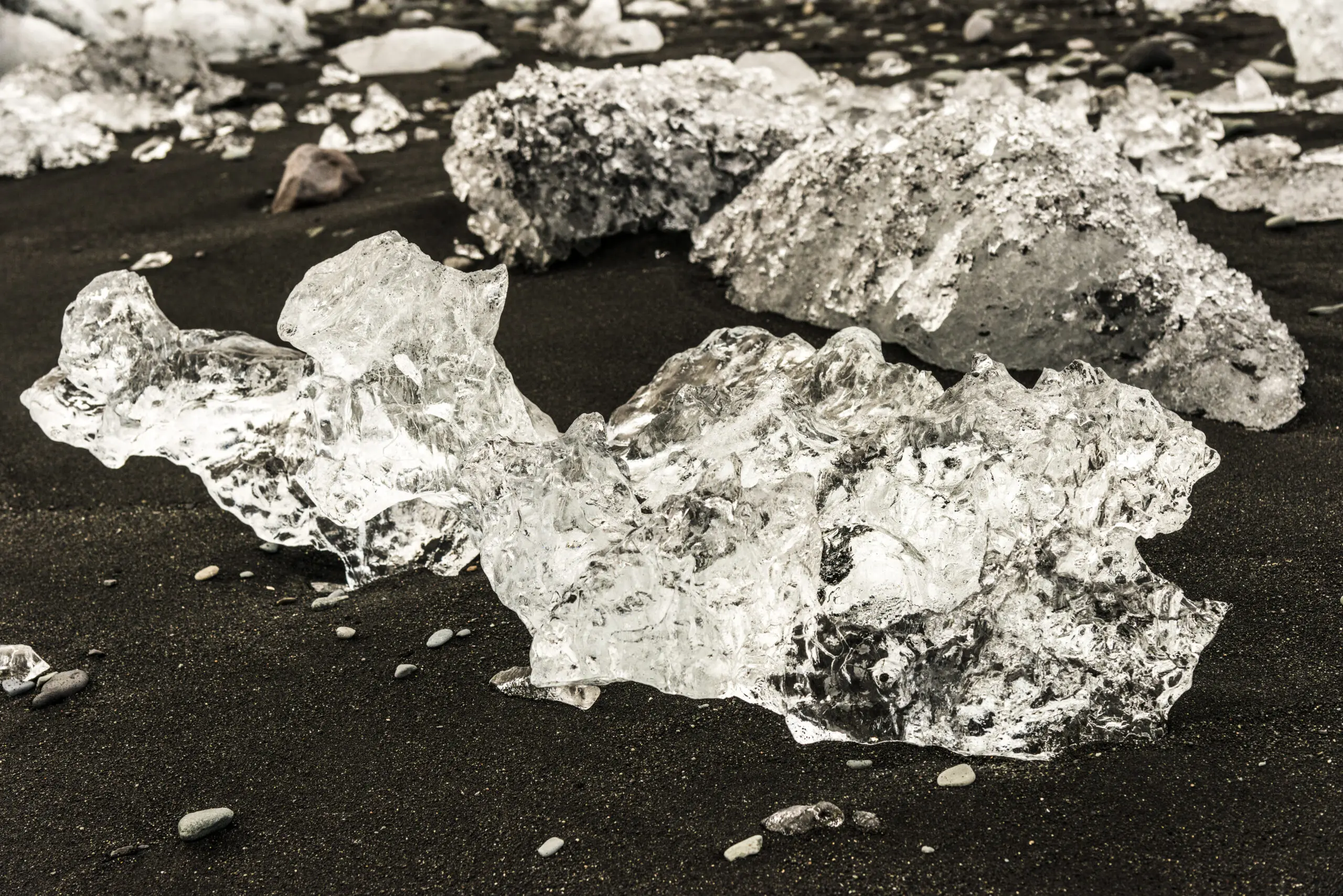 Wandbild (2788) Eis-Ente präsentiert: Abstrakt,Sonstige Naturdetails