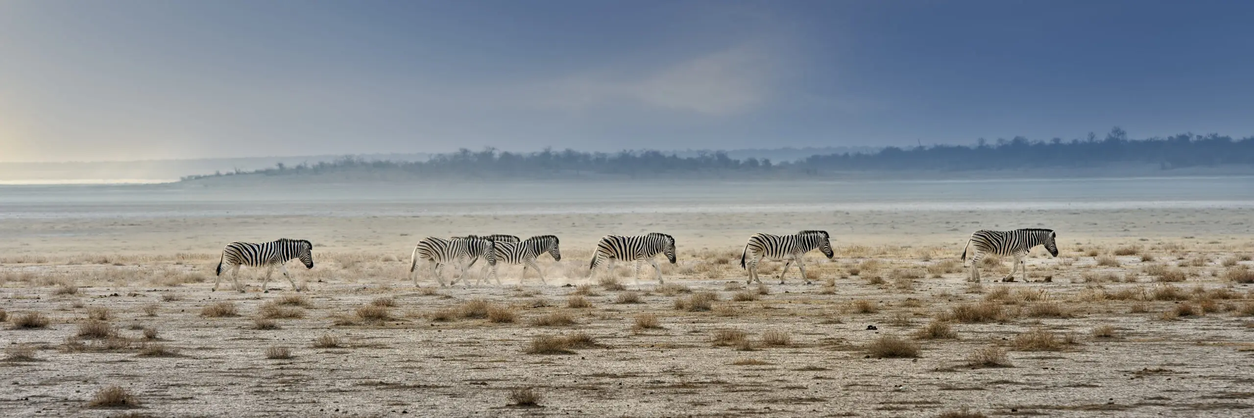 Wandbild (2821) promenade präsentiert: Wasser,Tiere,Landschaften