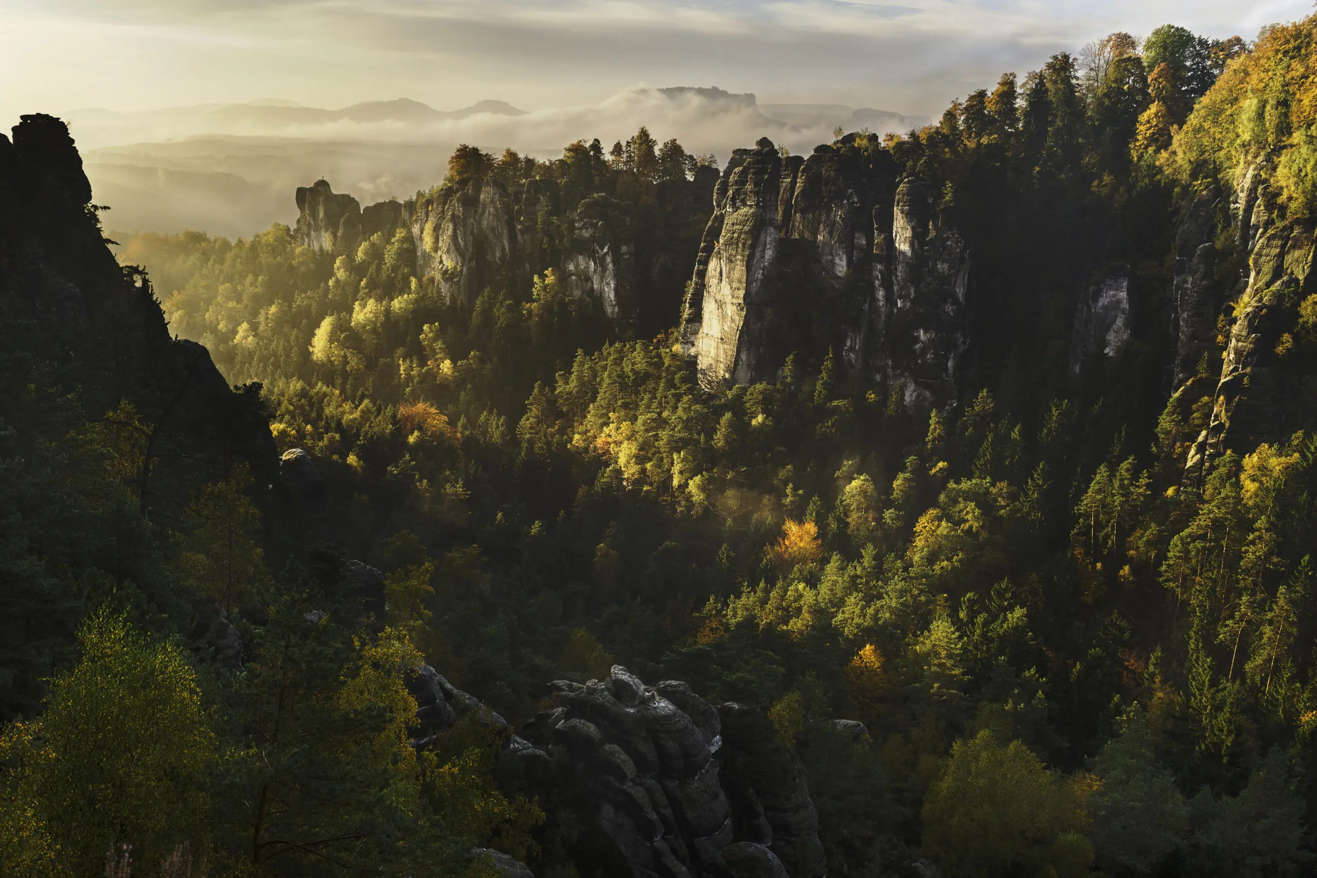 Wandbild (2872) Forest Whispers präsentiert: Landschaften