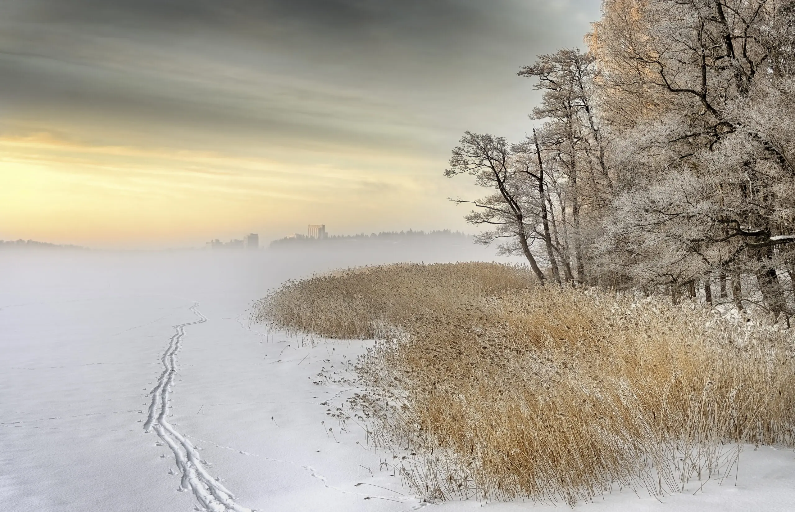 Wandbild (3073) Misty winter morning präsentiert: Landschaften,Schnee und Eis,Winter