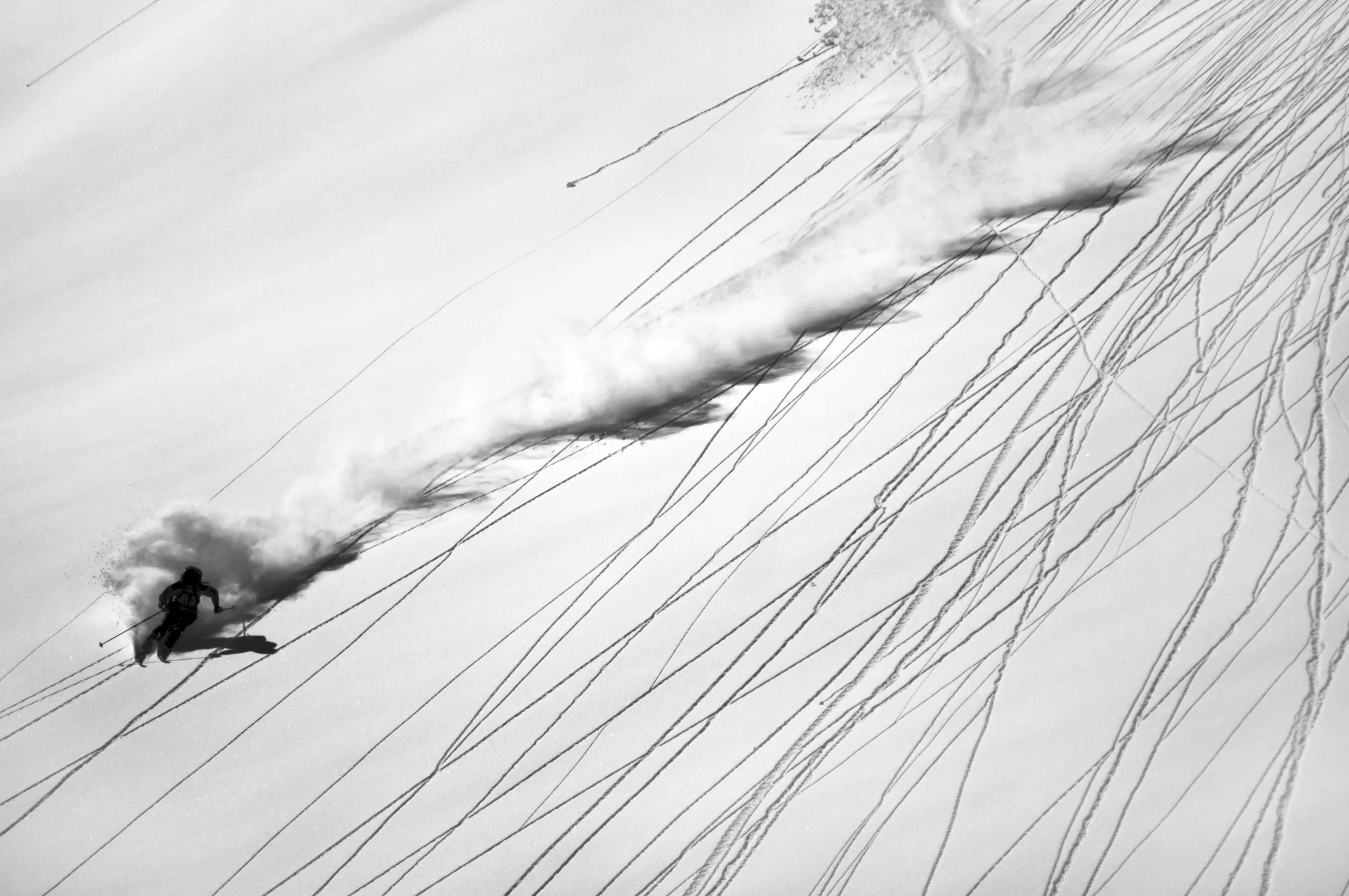 Wandbild (3082) Skiing Powder präsentiert: Aktion-Bewegung,Wintersport