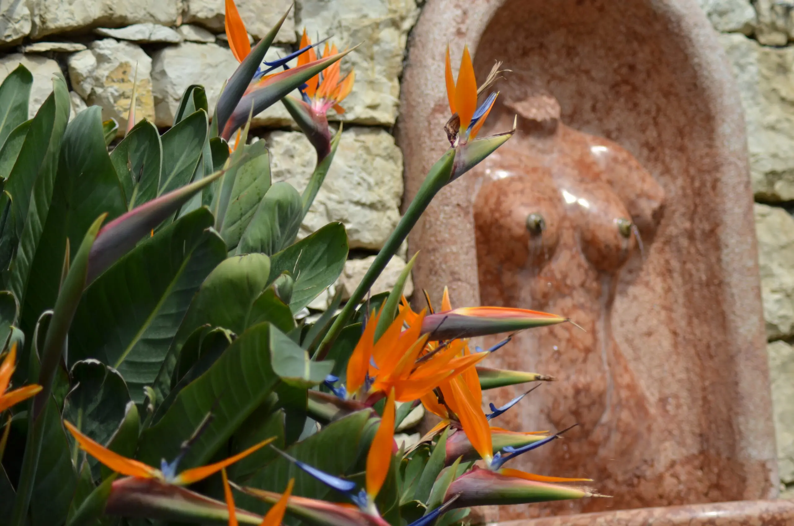 Wandbild (3111) Garten Eden präsentiert: Natur,Blumen und Blüten