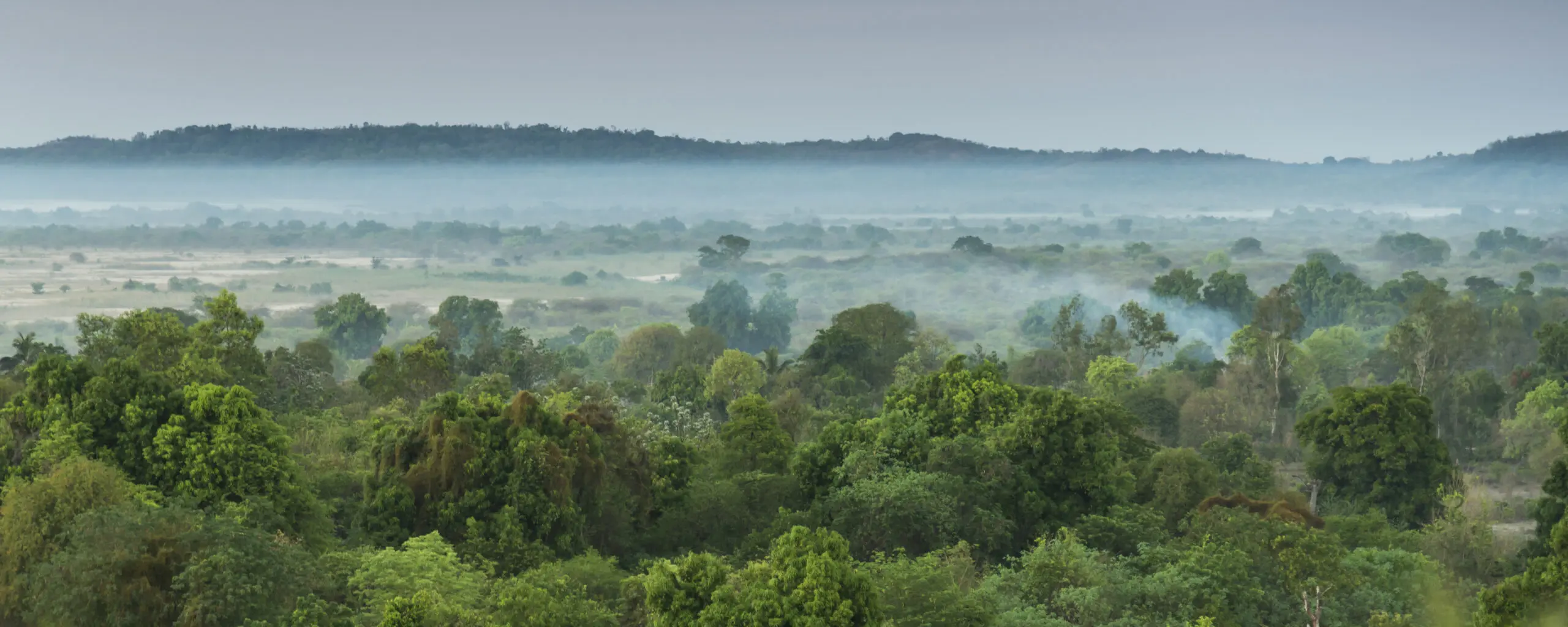 Wandbild (3156) Val du Manambolo präsentiert: Natur,Landschaften,Bäume,Wälder,Afrika