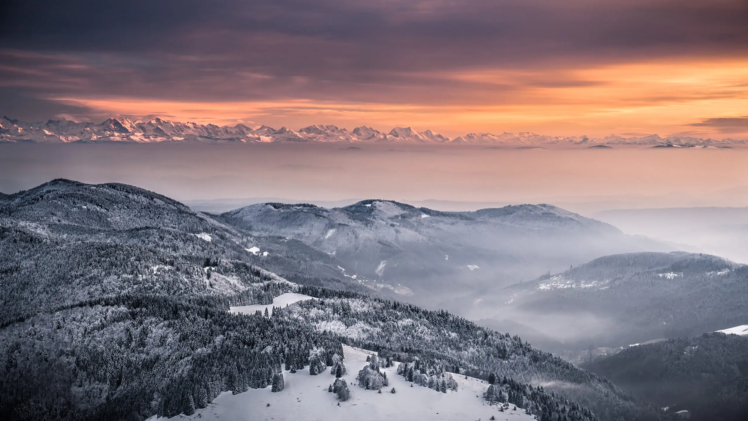 Wandbild (3175) Winter in the Black Forest präsentiert: Natur,Landschaften,Bäume,Schnee und Eis,Wälder,Winter,Berge,Luftaufnahmen