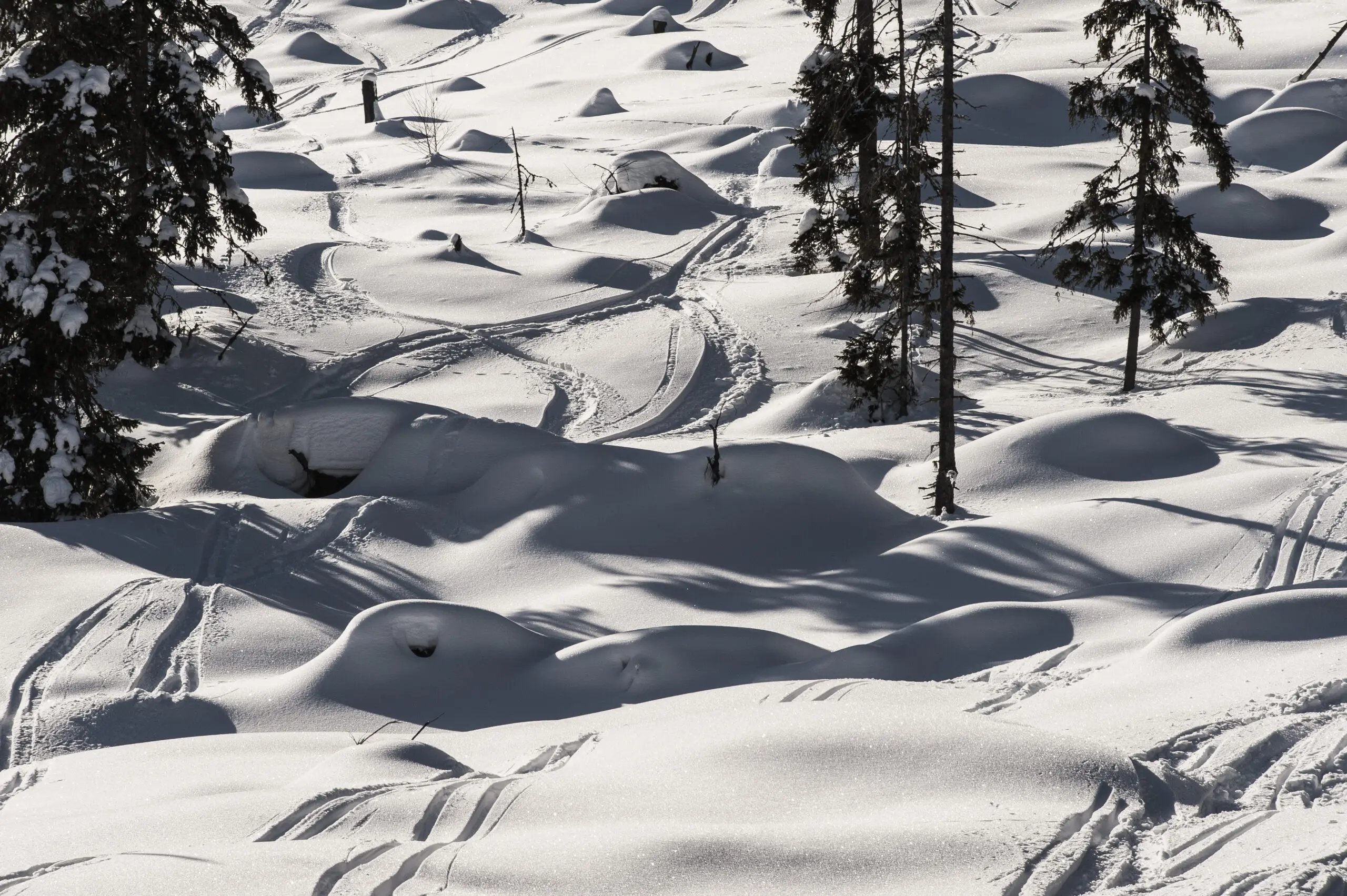 Wandbild (3609) Winterwald präsentiert: Landschaften,Schnee und Eis,Winter,Berge