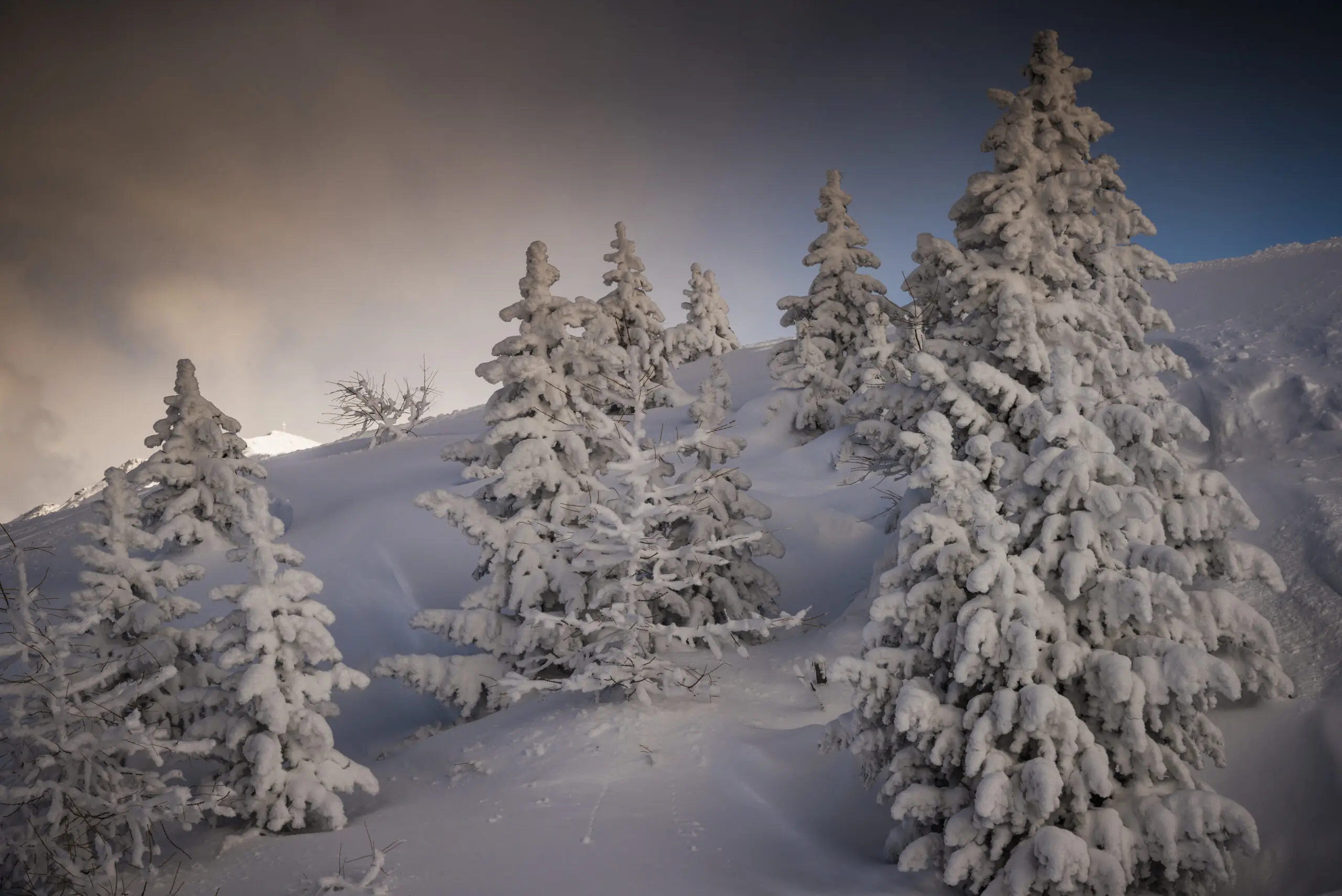 Wandbild (3616) Snowy Forest präsentiert: Landschaften,Schnee und Eis,Winter,Berge