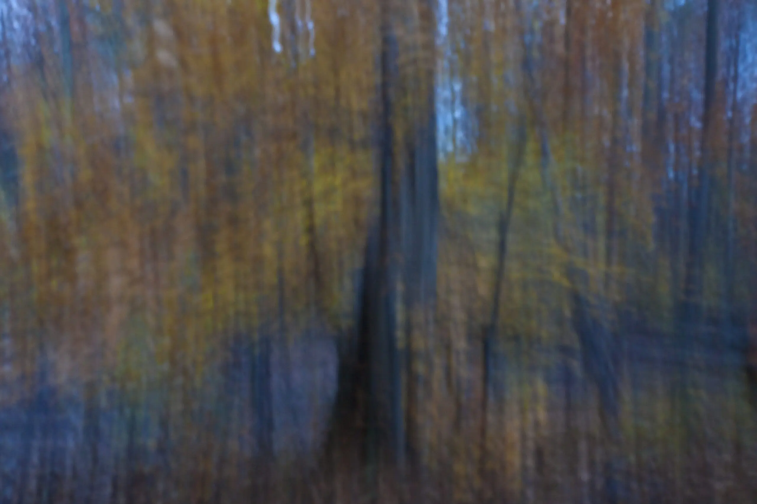 Wandbild (3812) Blaue Stunde präsentiert: Abstrakt,Herbst