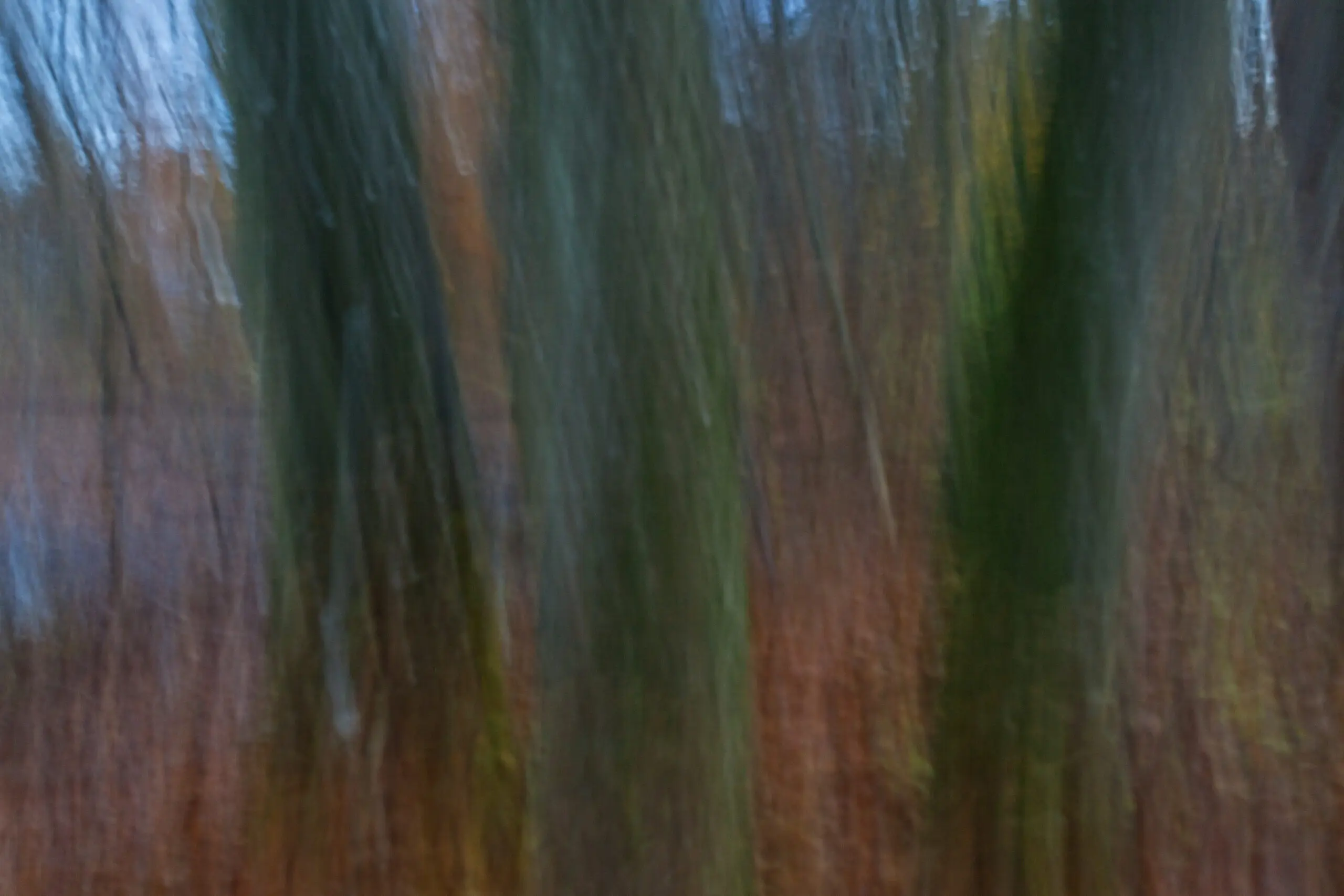 Wandbild (3813) Herbstlaub präsentiert: Abstrakt,Herbst