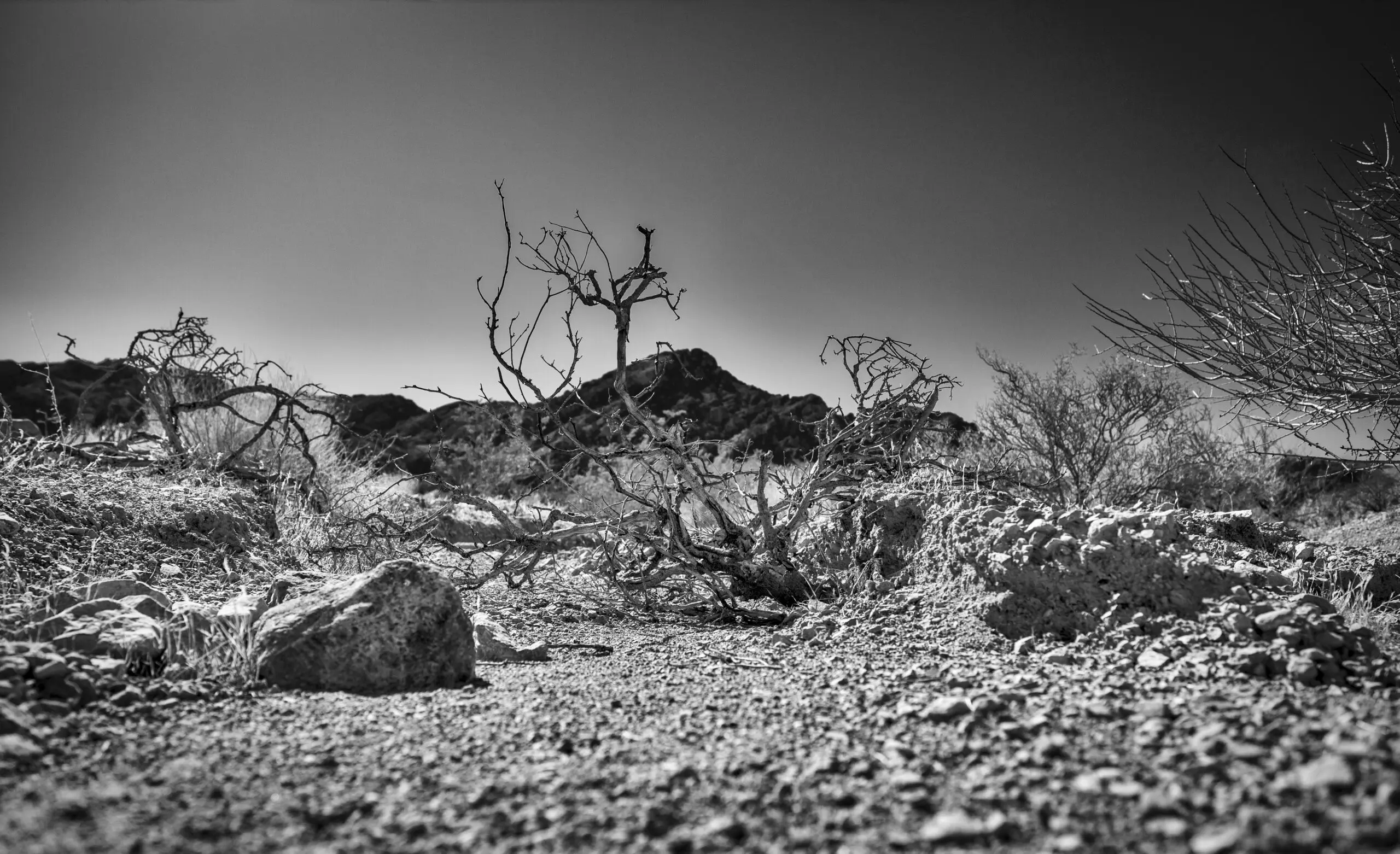 Wandbild (3962) Deserted präsentiert: Landschaften,Amerika