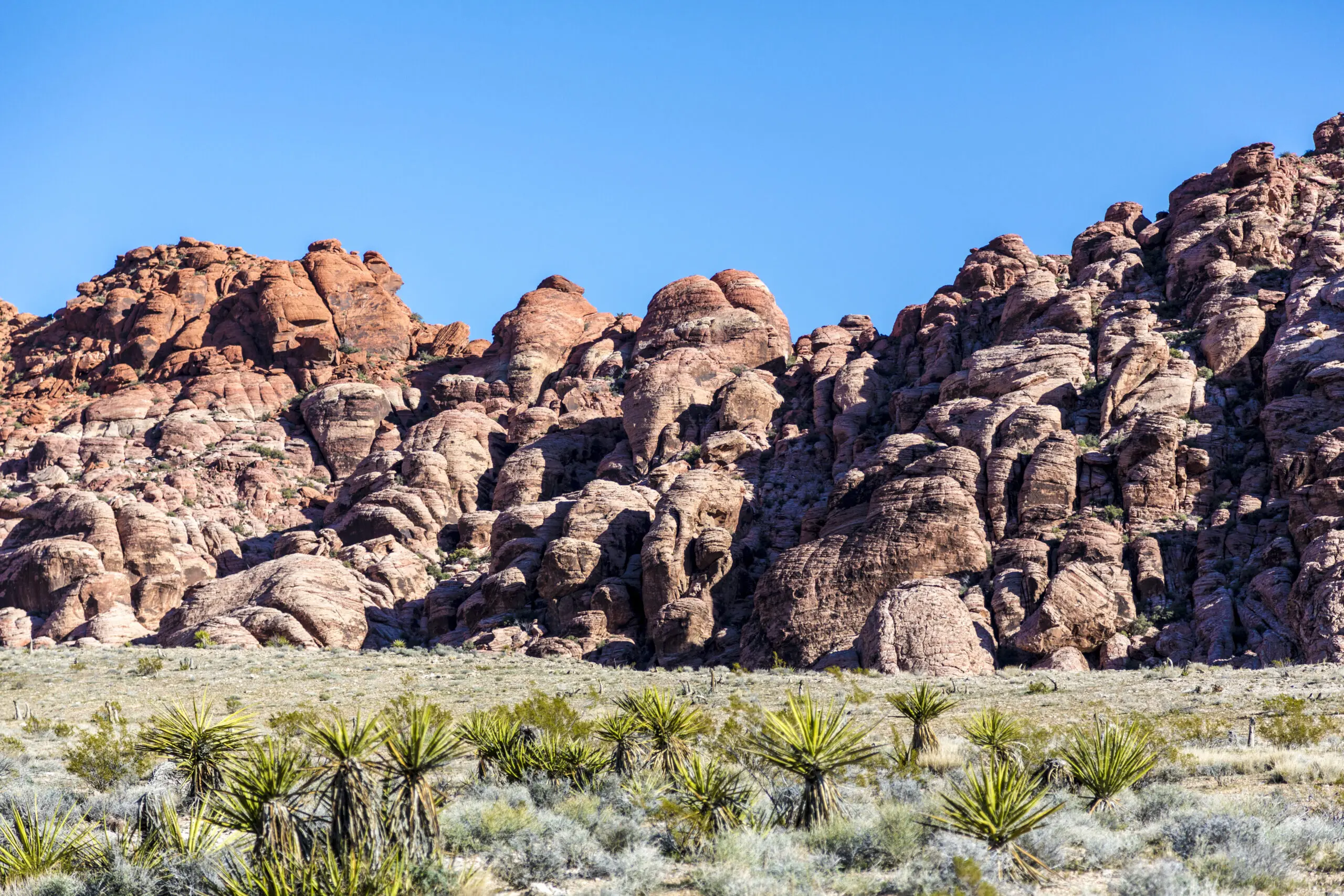 Wandbild (3920) Red Rocks präsentiert: Landschaften,Wüste,Amerika,Berge