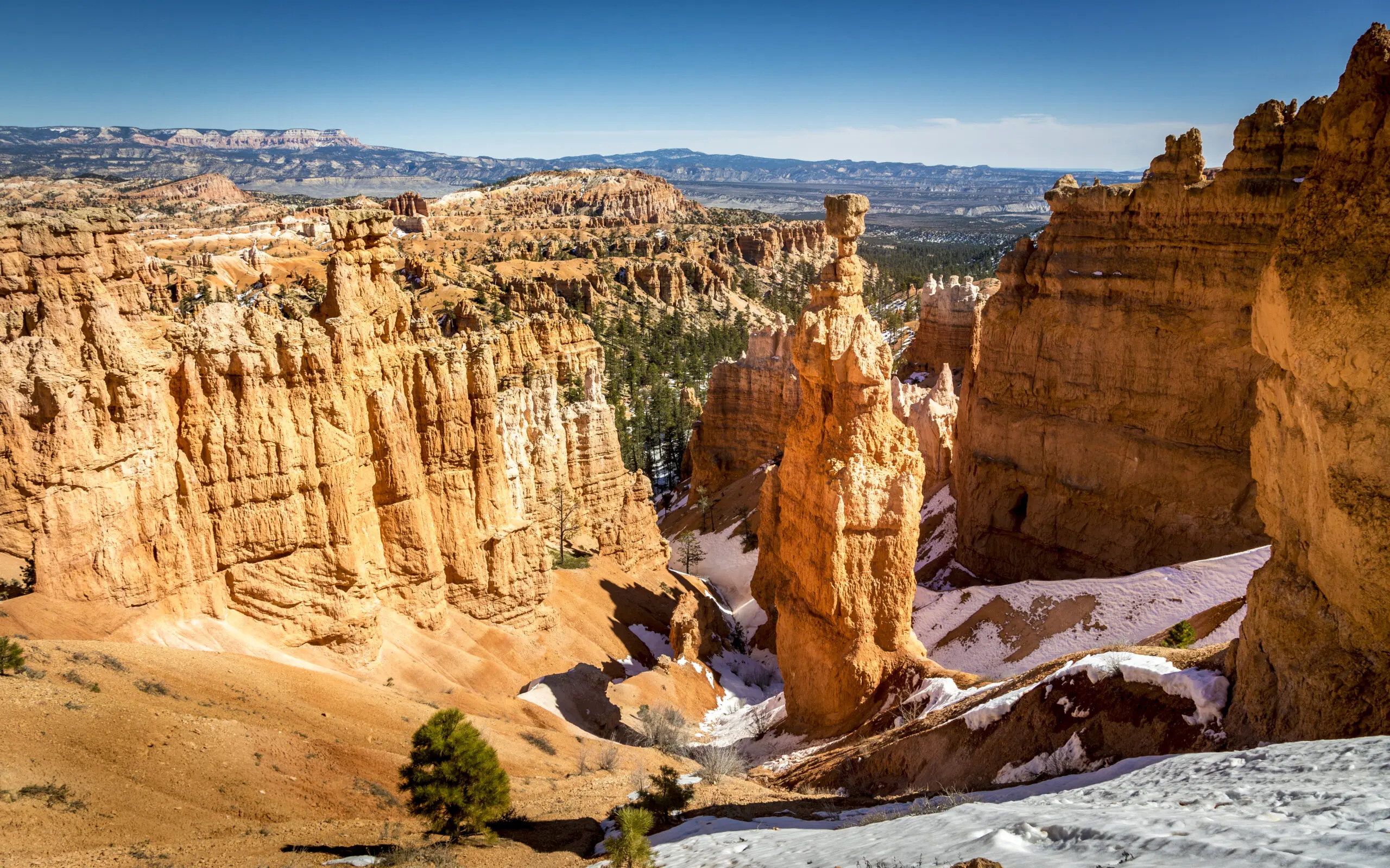Wandbild (3909) Bryce Canyon – Thors Hammer präsentiert: Landschaften,Amerika