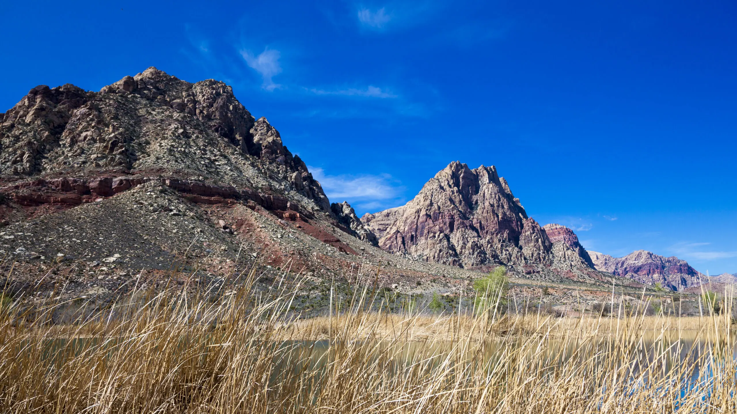 Wandbild (3899) Schilf präsentiert: Landschaften,Amerika,Berge