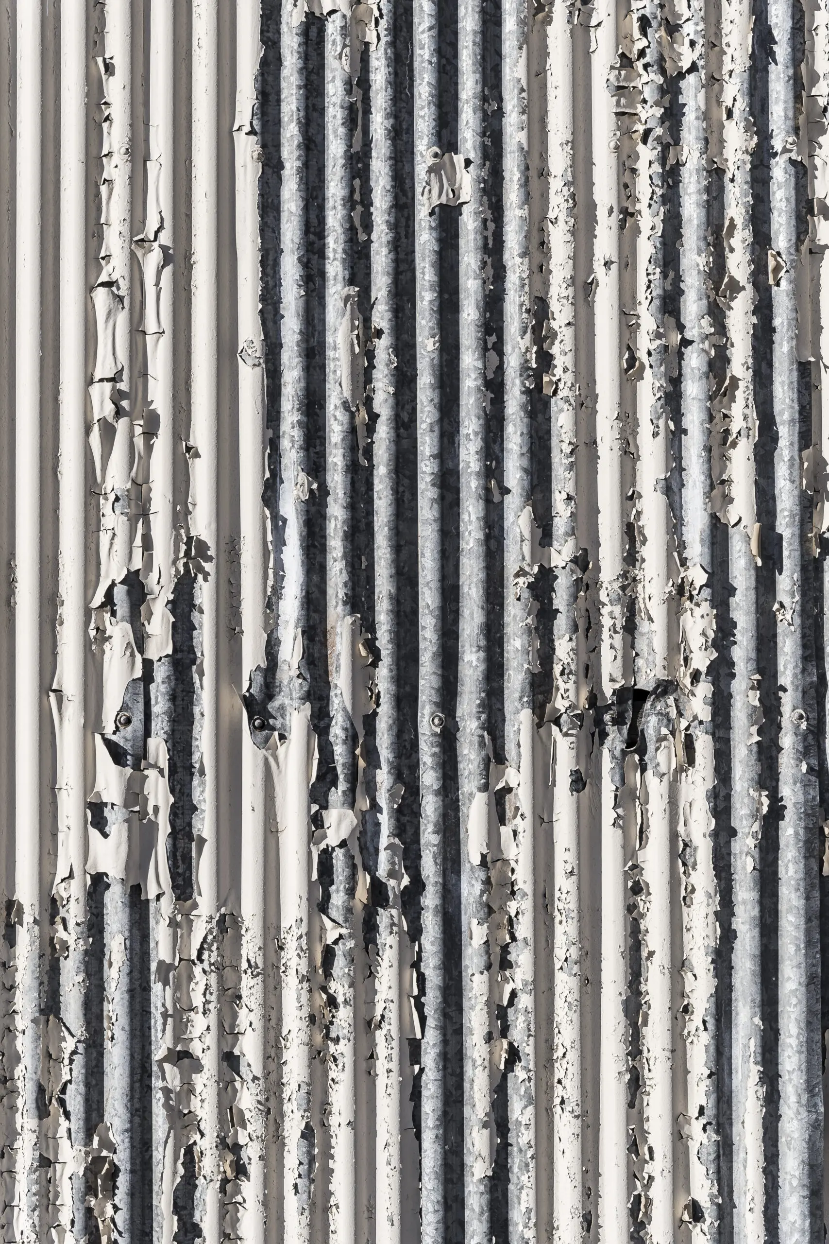 Wandbild (4450) Wellblech präsentiert: Abstrakt,Detailaufnahmen