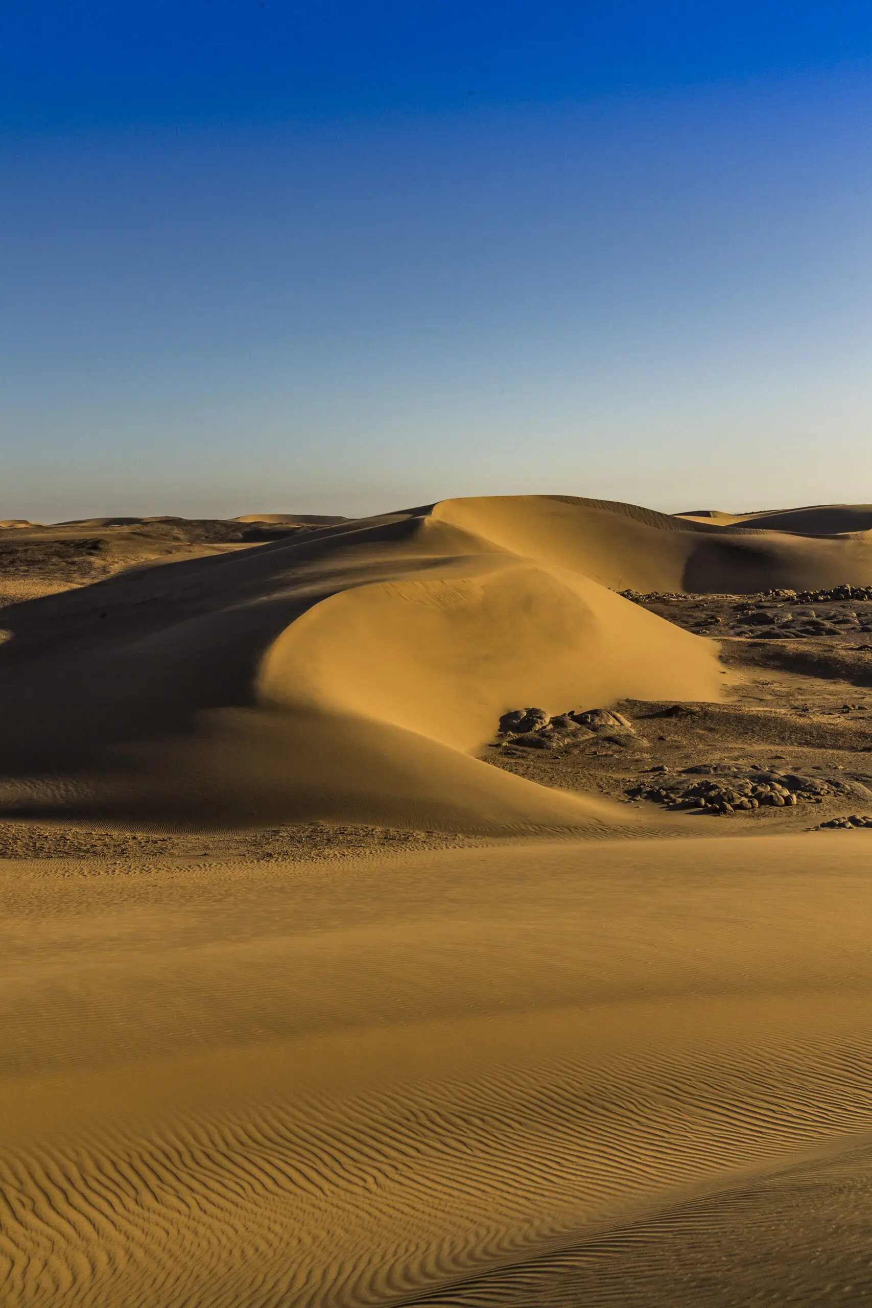 Wandbild (3852) Sandwelt präsentiert: Natur,Landschaften,Afrika,Wüste