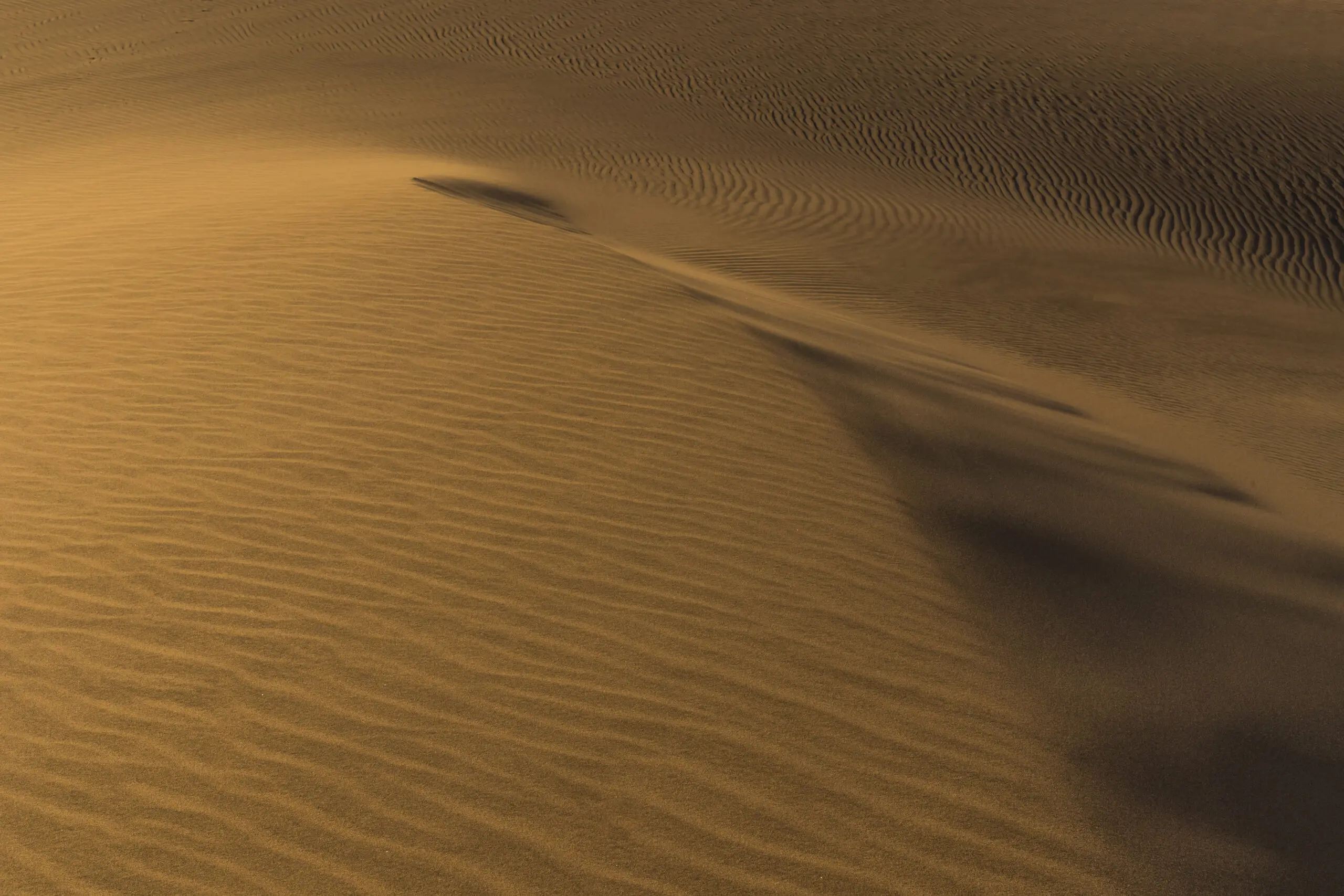 Wandbild (3850) Dunes präsentiert: Natur,Landschaften,Afrika,Wüste