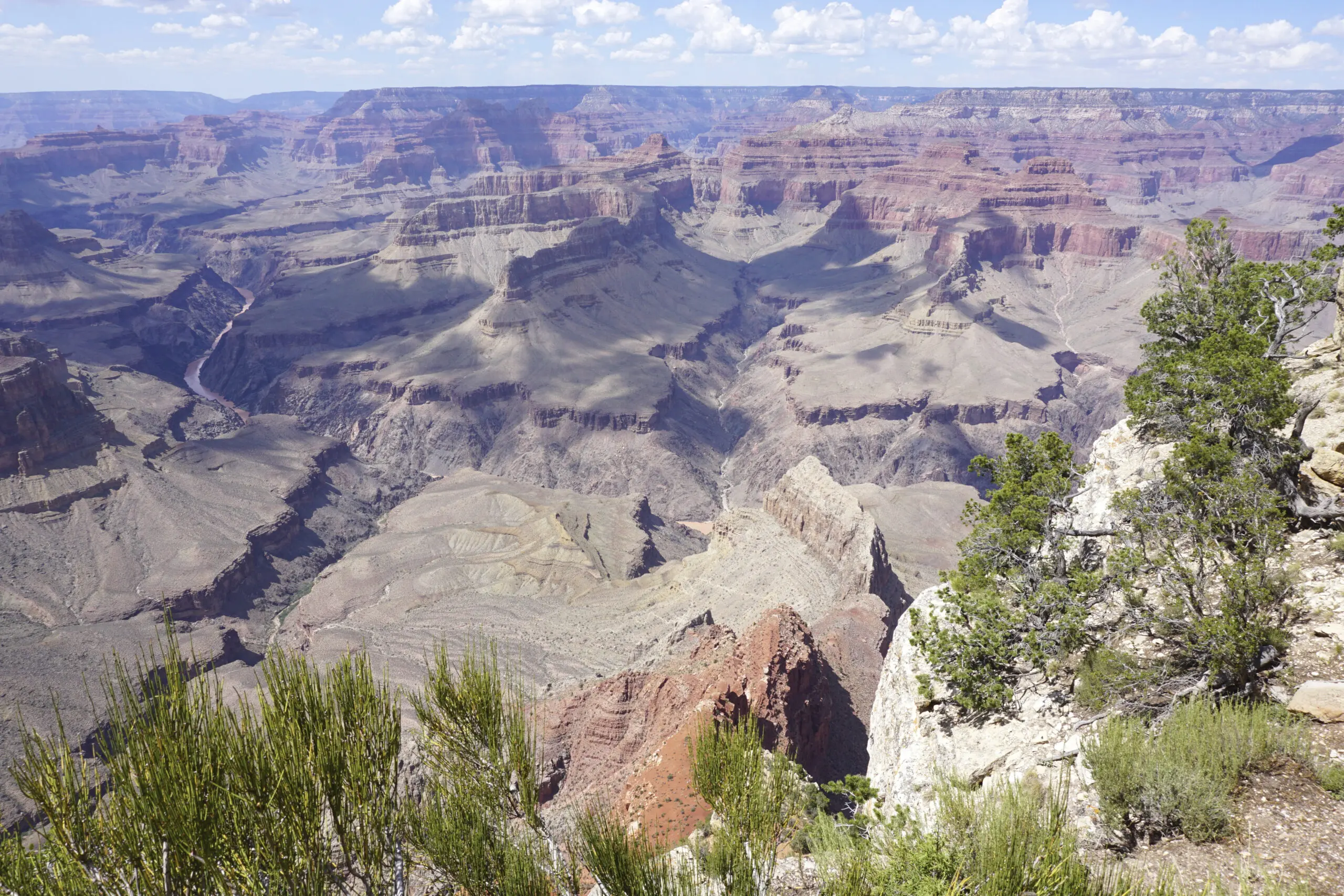 Auf der Klippe des Grand Canyon