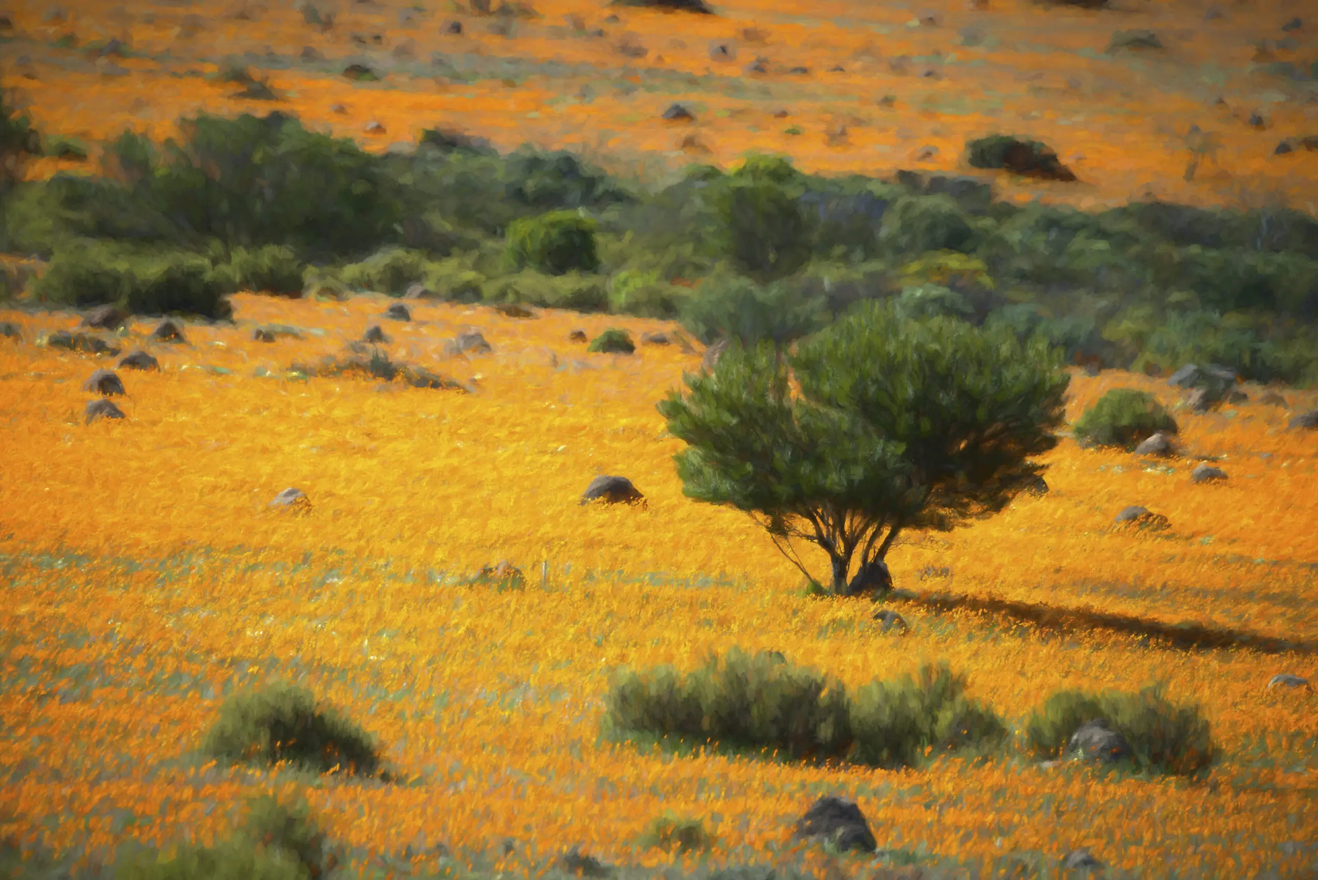 Wandbild (4440) Orange Land präsentiert: Natur,Landschaften,Bäume,Blumen und Blüten,Afrika,Frühling