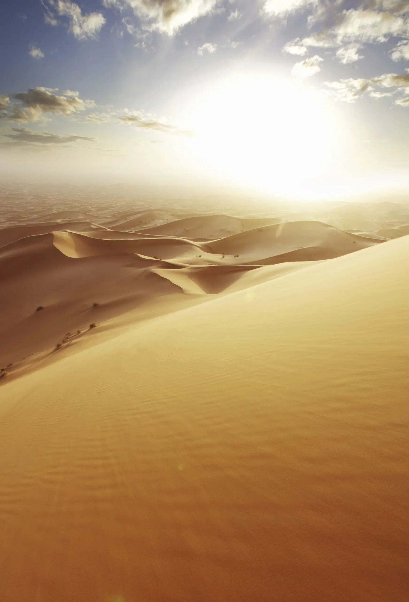 Wandbild (4638) TC – Sanddünenwüste Marokko präsentiert: Kreatives,Details und Strukturen,Natur,Landschaften,Afrika,Wüste,Detailaufnahmen,Luftaufnahmen,Sonstiges Kreatives,Steine,Sonstige Naturdetails,Erde