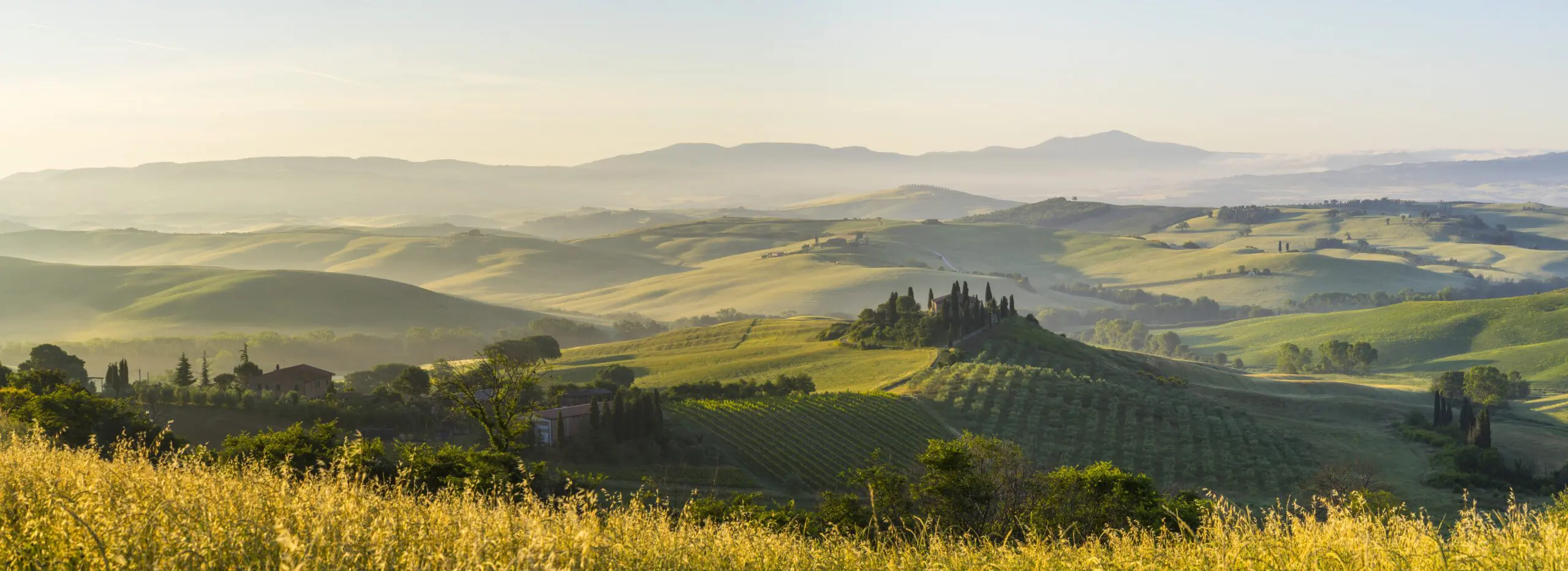 Wandbild (4599) Cozzi Guido – Orcia Tal 2 präsentiert: Natur,Landschaften,Bäume,Blumen und Blüten,Sonstige Pflanzen,Sommer,Wälder,Wege,Frühling,Herbst,Luftaufnahmen