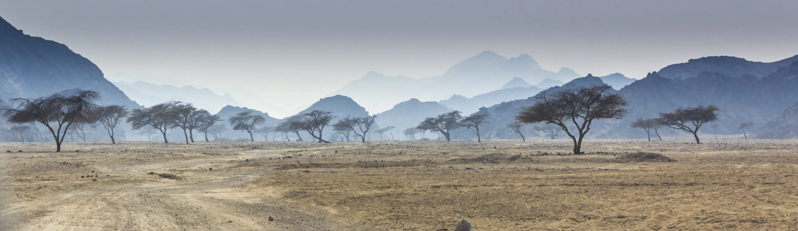 Wandbild (4590) Bortoli Manfred – Wadi el Gamal präsentiert: Natur,Landschaften,Bäume,Afrika,Wüste,Berge