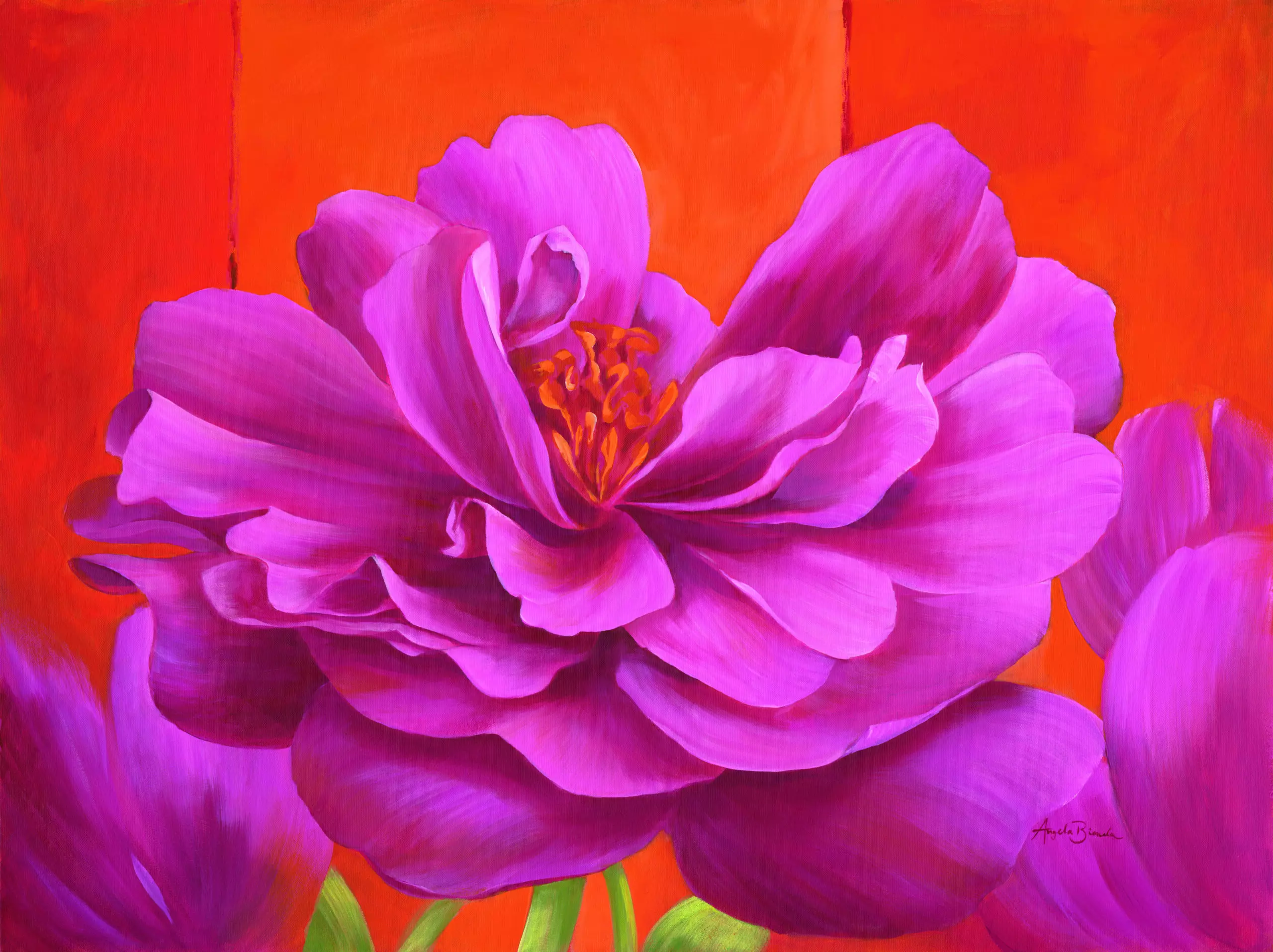 Wandbild (5011) Think Pink präsentiert: Stillleben,Kreatives,Details und Strukturen,Natur,Blumen und Blüten,Makro,Floral,Modern