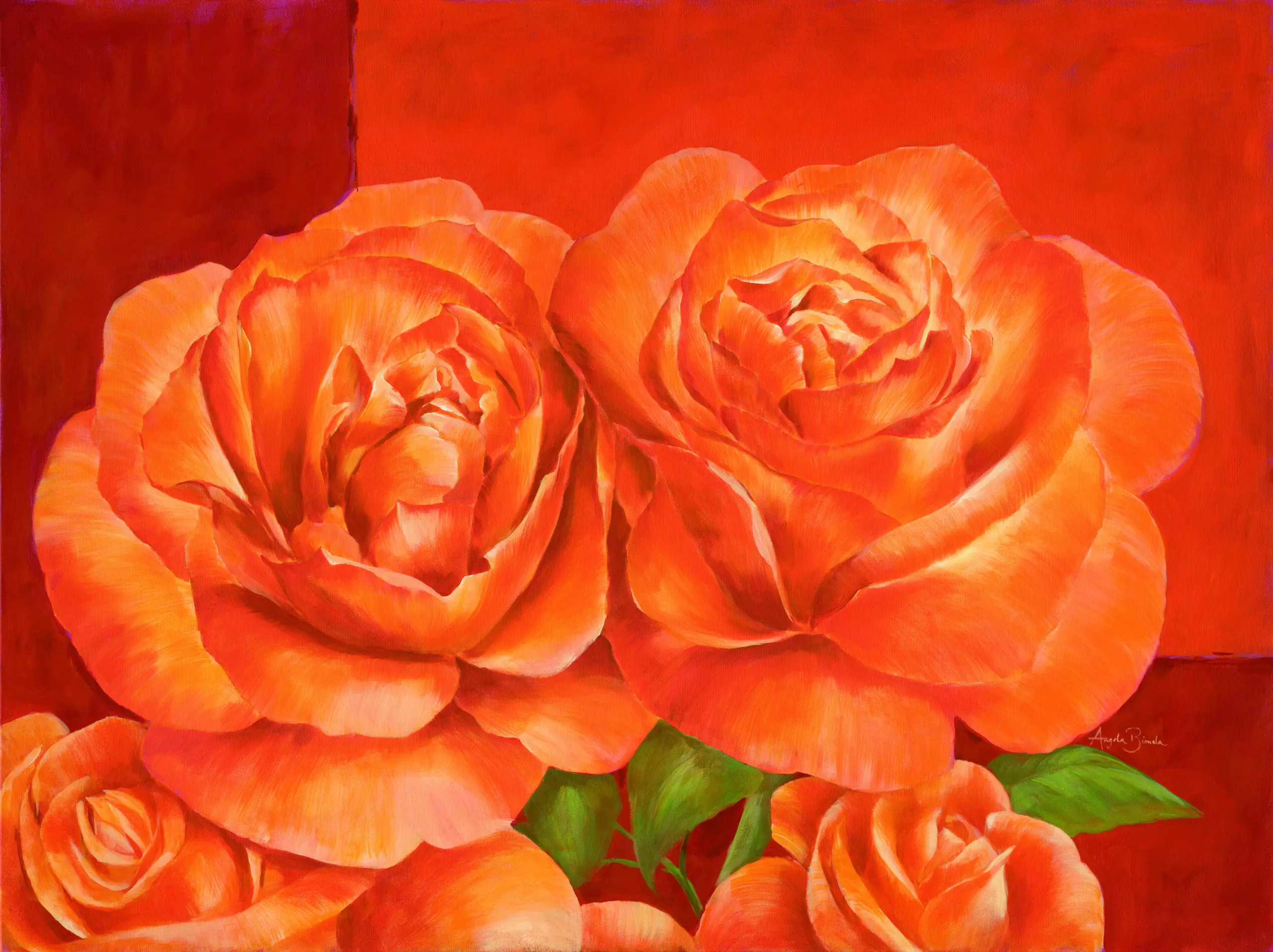 Wandbild (5025) Orange Countryrose präsentiert: Kreatives,Details und Strukturen,Natur,Blumen und Blüten