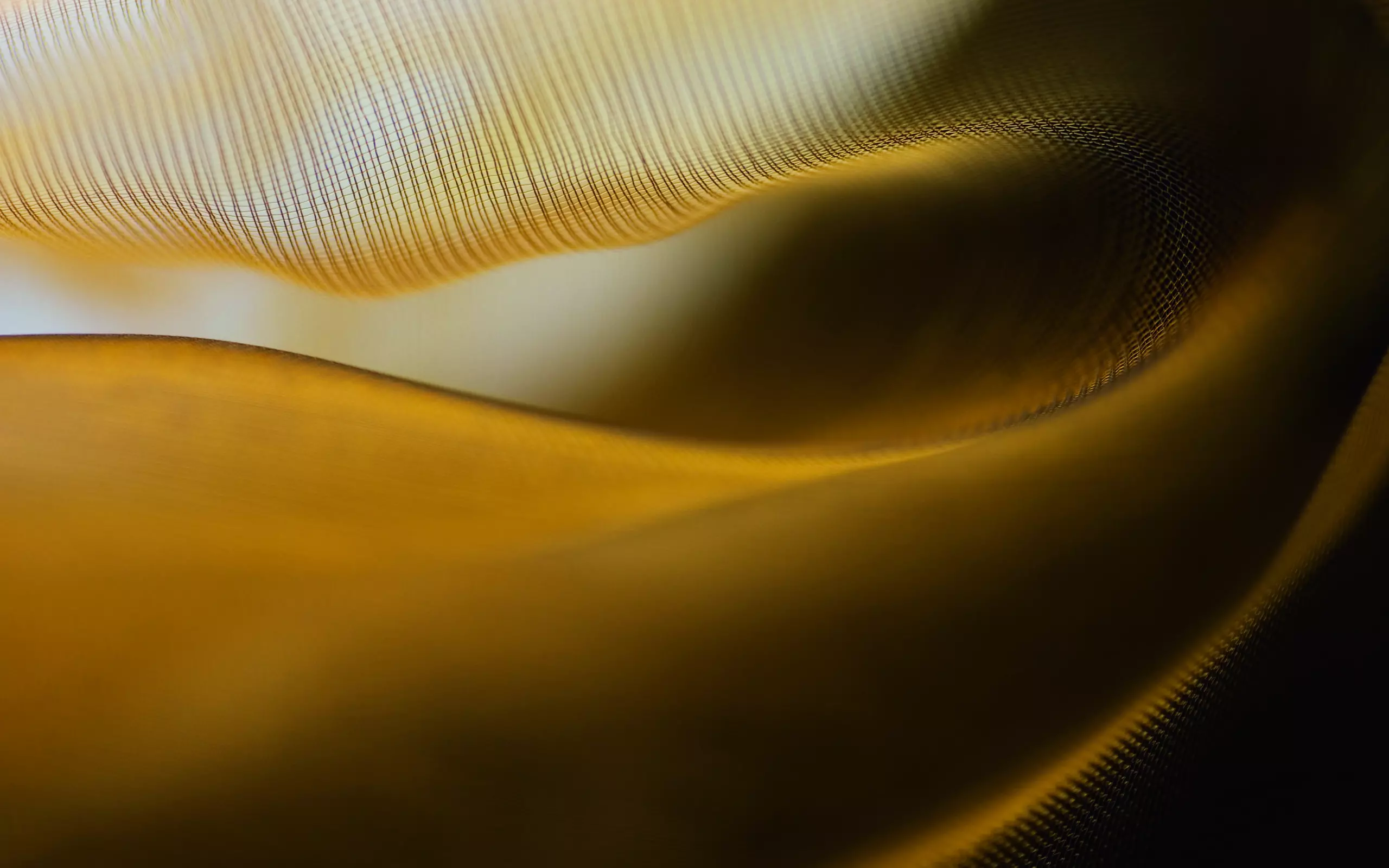 Wandbild (5126) Fields of Gold by Carola Onkamo präsentiert: Kreatives,Details und Strukturen,Abstrakt,Sonstiges Kreatives