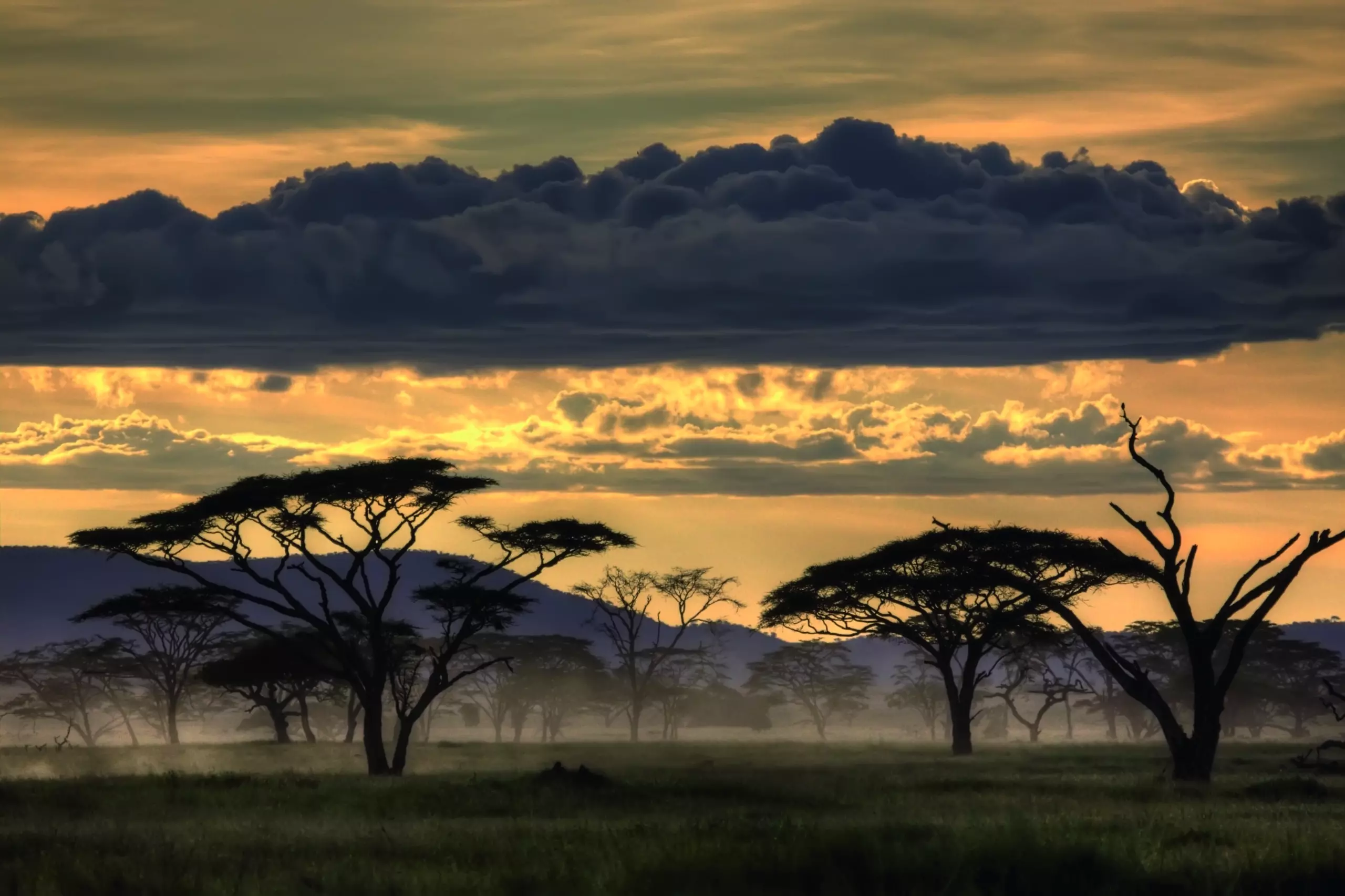 Wandbild (5129) Good evening Tanzania by Amnon Eichelberg präsentiert: Natur,Landschaften,Bäume,Sommer,Afrika,Berge