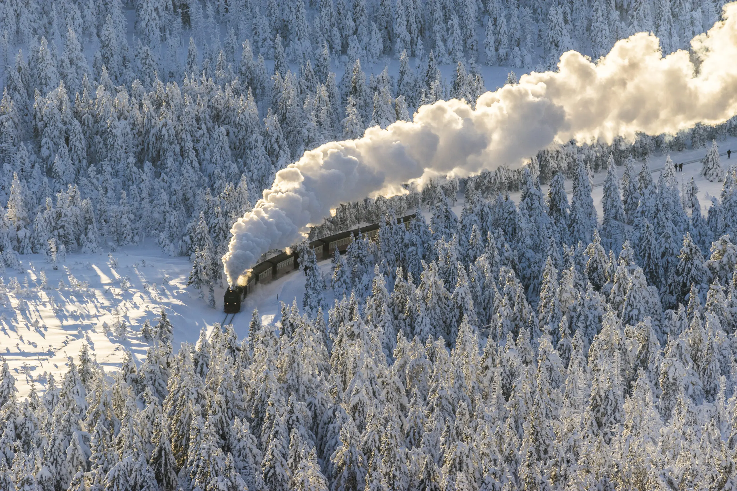 Wandbild (5188) Harzer Schmalspurbahn im Winter präsentiert: Technik,Landschaften,Schnee und Eis,Wälder,Winter,Berge,Eisenbahn