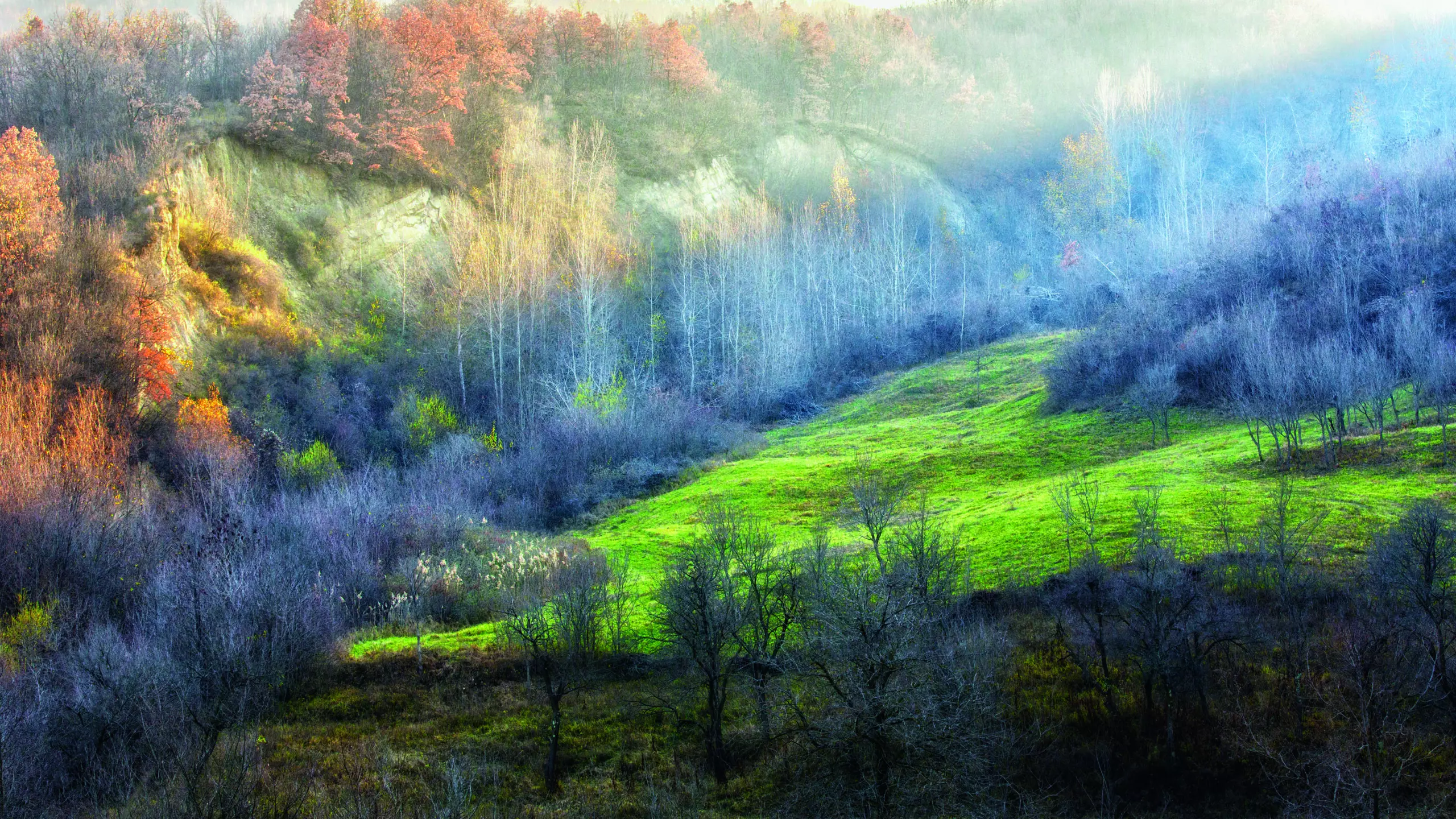 Wandbild (5199) November colours by Adrian Popan präsentiert: Natur,Landschaften,Bäume,Wälder,Herbst
