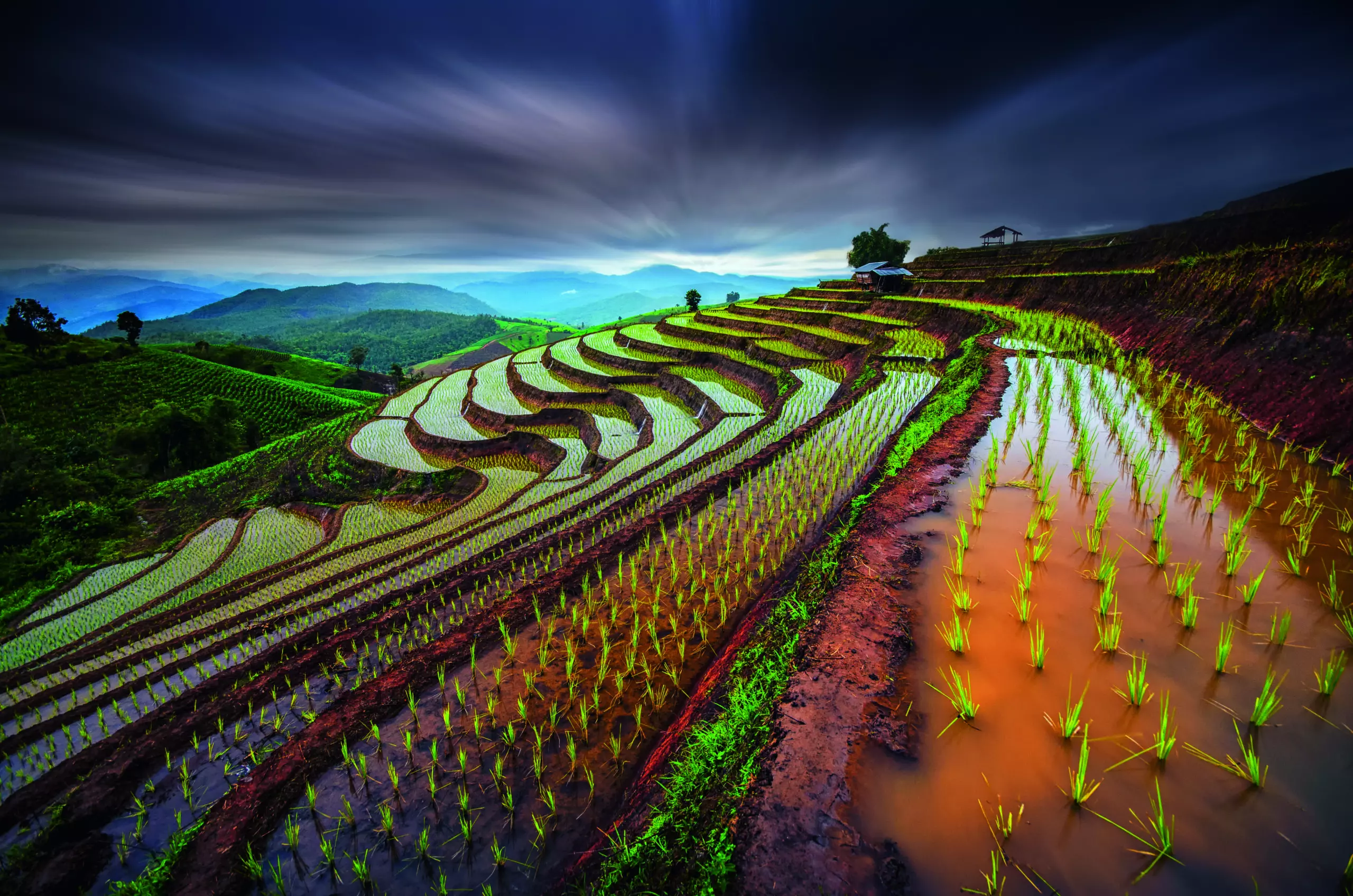 Wandbild (5200) Unseen Rice Field by Tetra präsentiert: Wasser,Kreatives,Details und Strukturen,Natur,Landschaften,Sonstige Pflanzen,Asien,Berge,Gewässer,Wasserspiegelungen,Sonstige Naturdetails,Erde,Pflanzen