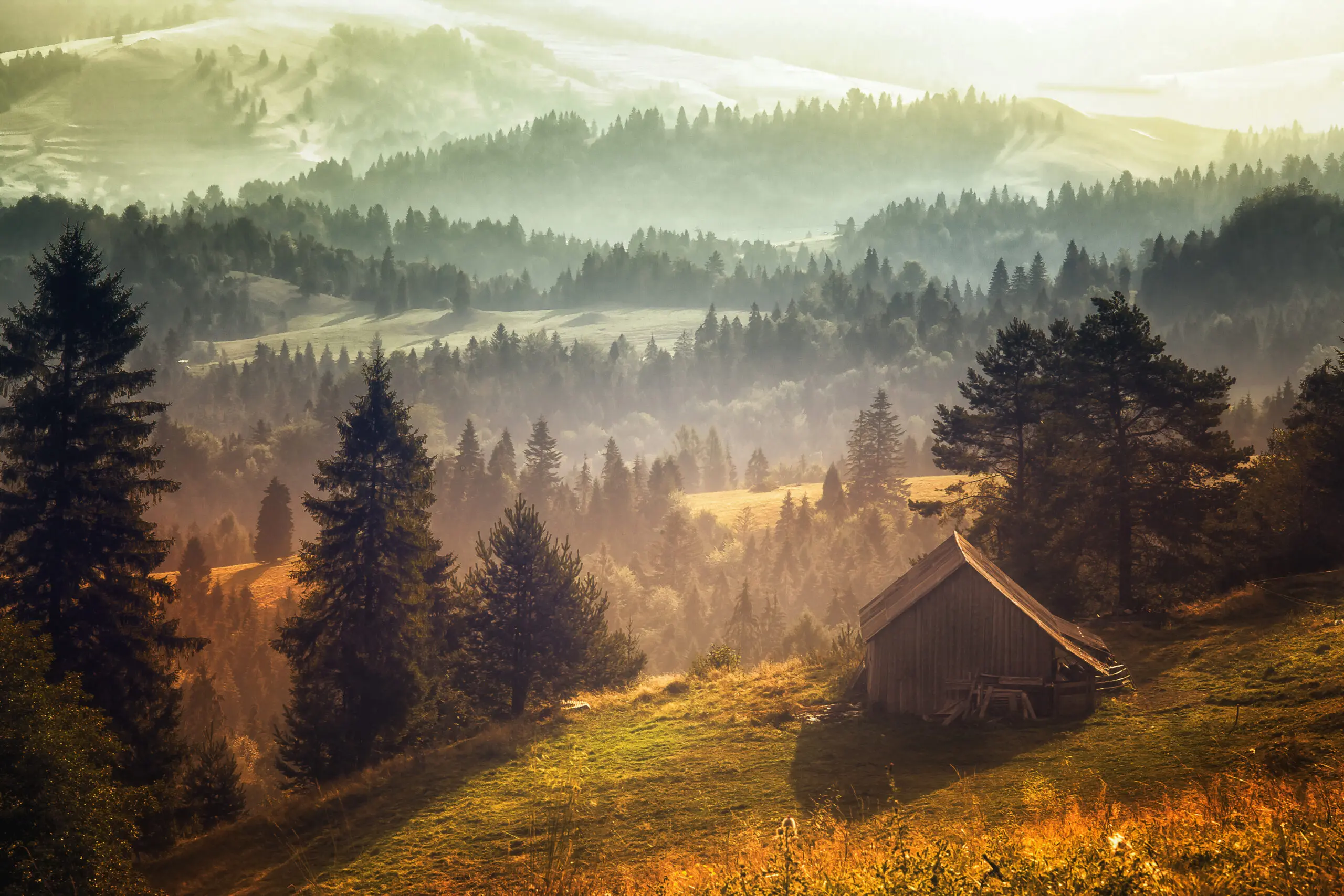 Wandbild (5235) Untitled by stanislav hricko präsentiert: Natur,Landschaften,Bäume,Sommer,Wälder,Berge,Herbst