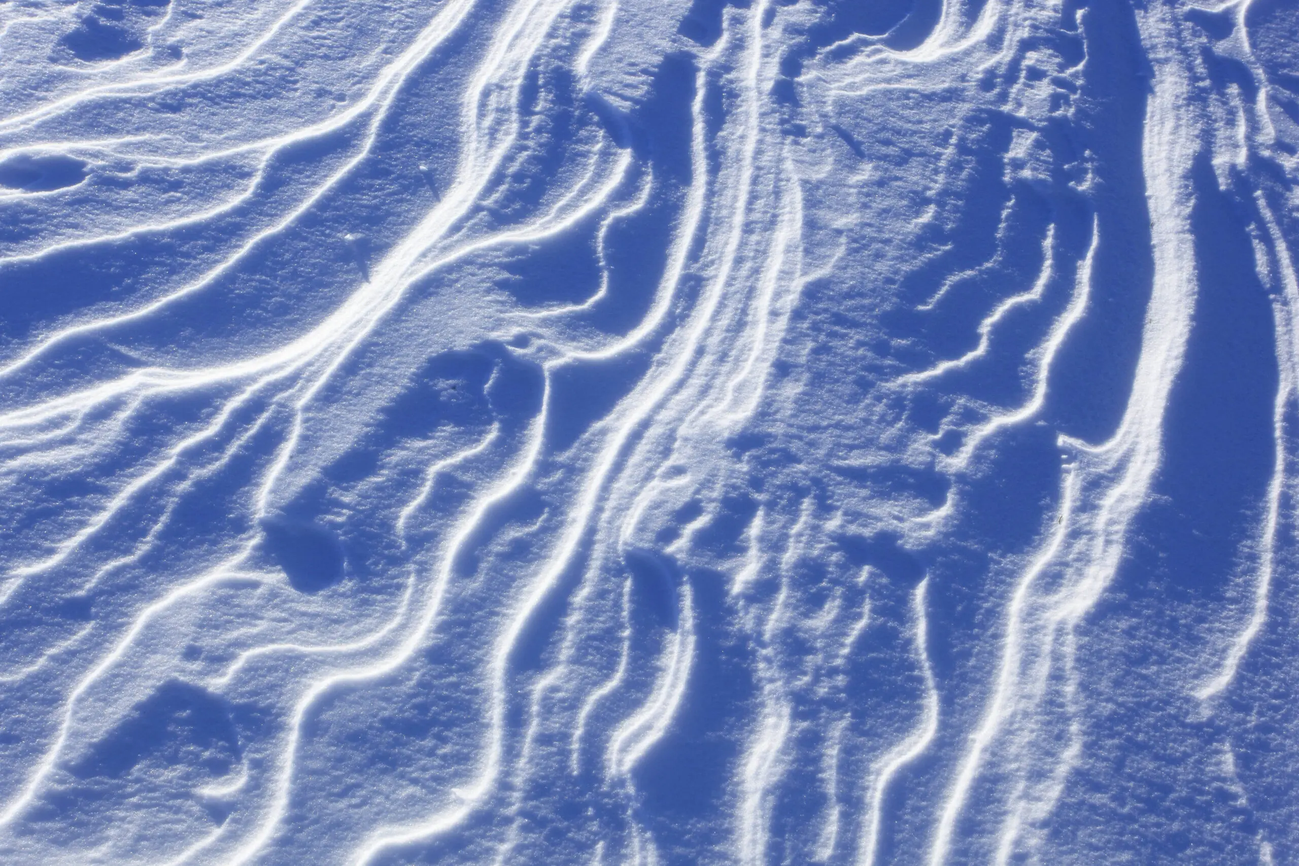 Wandbild (5430) snow wave by picture alliance / blickwinkel/P. Frischknecht präsentiert: Abstrakt,Sonstige Naturdetails