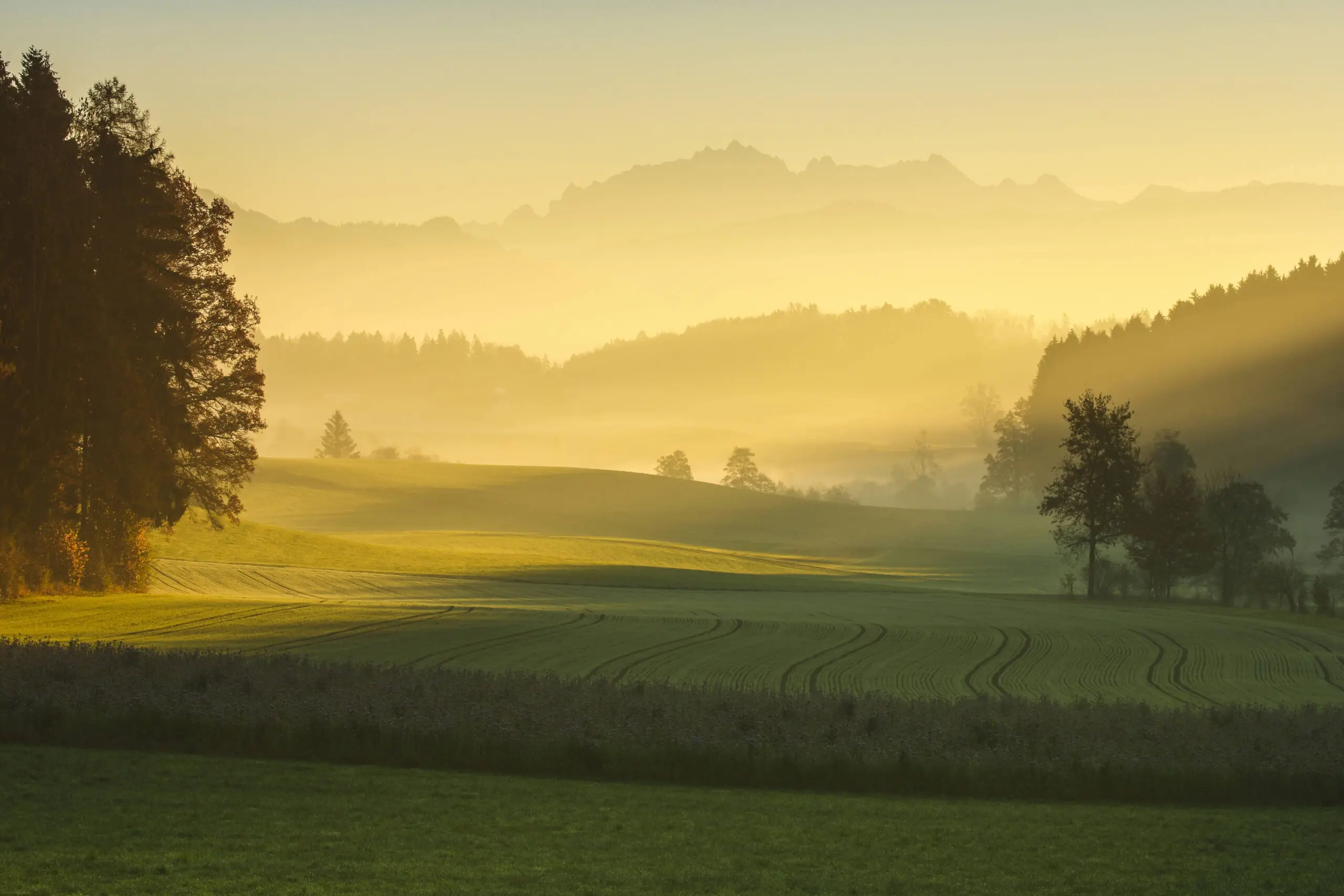 Wandbild (5461) Morning by picture alliance / Prisma präsentiert: Landschaften,Herbst