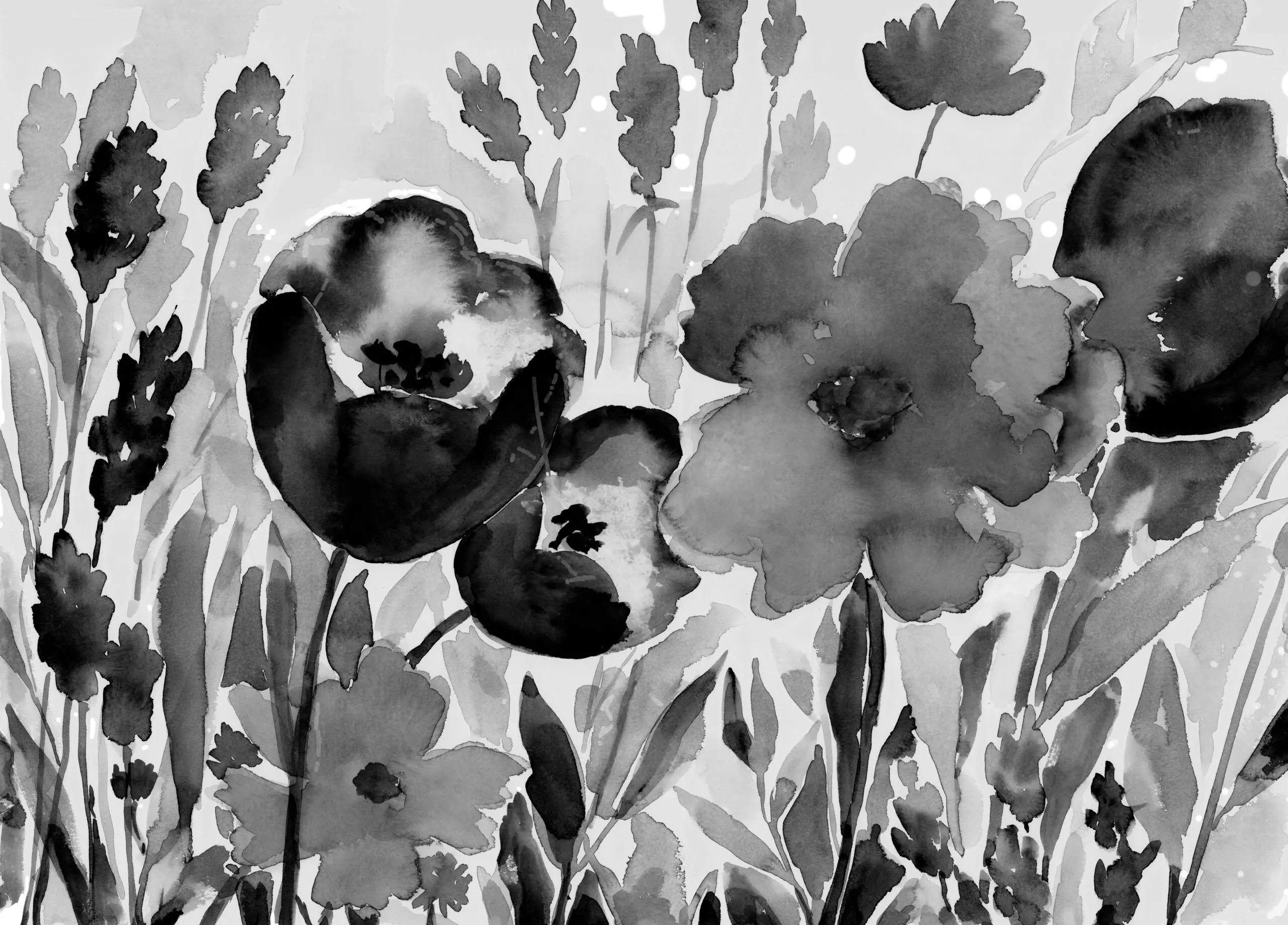 Wandbild (5571) Tulipgarden in Grey präsentiert: Kreatives,Natur,Blätter