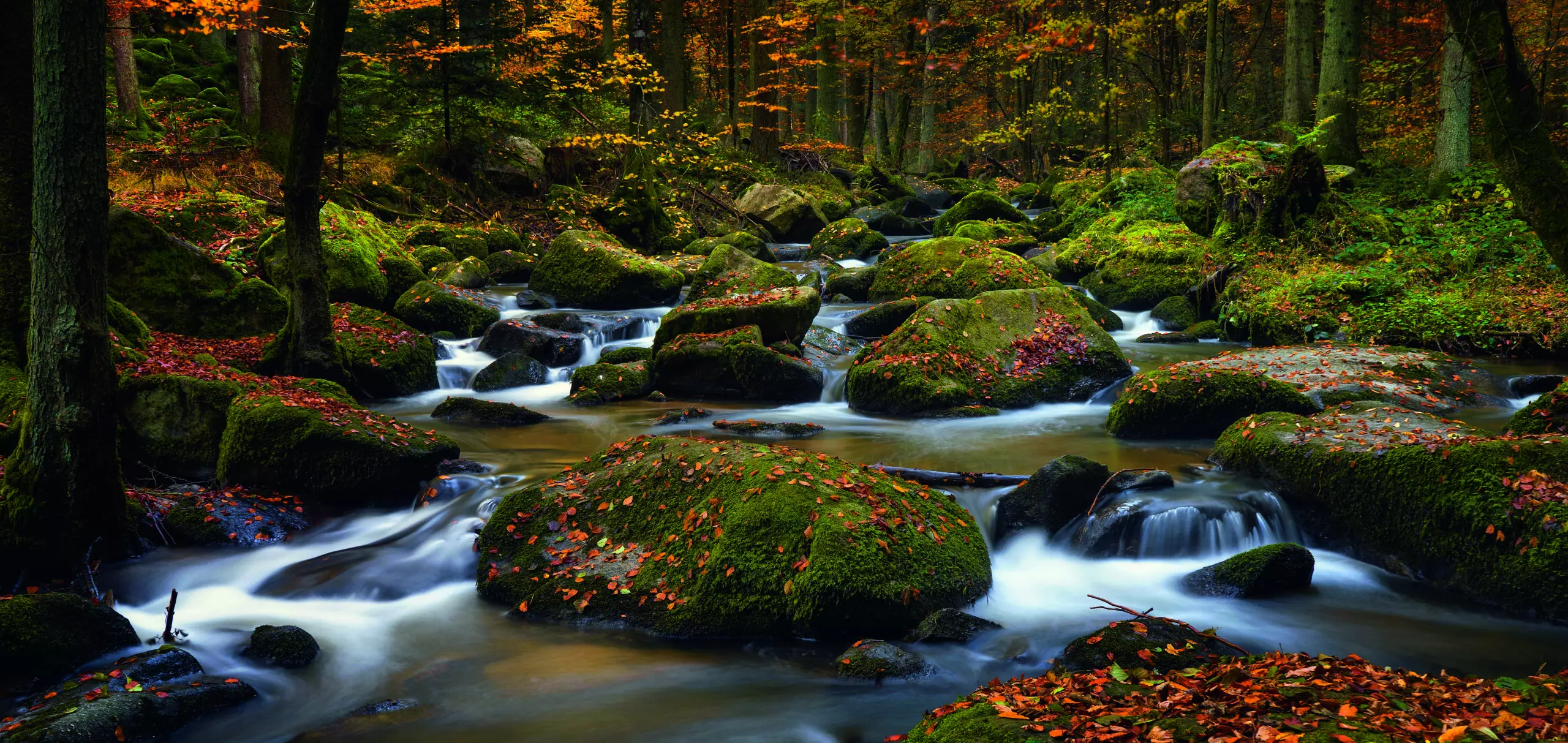 Wandbild (5727) autumn waters by Norbert Maier,1x.com präsentiert: Wasser,Natur,Landschaften,Bäume,Blätter,Wälder,Berge,Gewässer,Herbst,Bäche und Flüsse,Wasserfälle