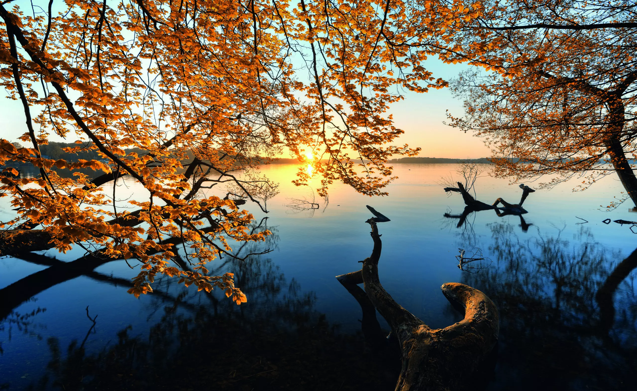 Wandbild (5865) Autumn Morning by keller,1x.com präsentiert: Wasser,Natur,Landschaften,Bäume,Blätter,Gewässer,Herbst,Seen,Wasserspiegelungen